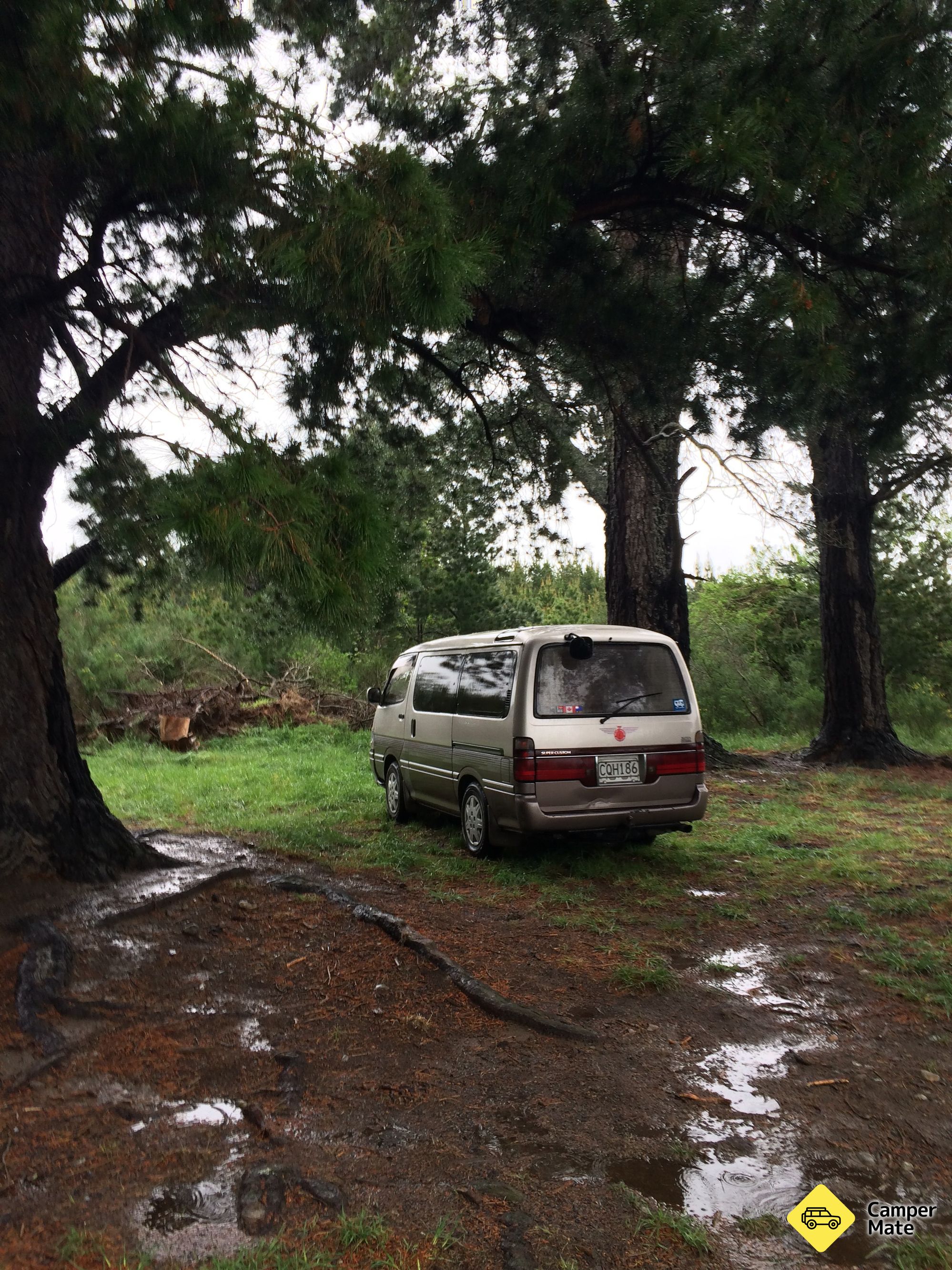 Bowyers Stream - Image 3