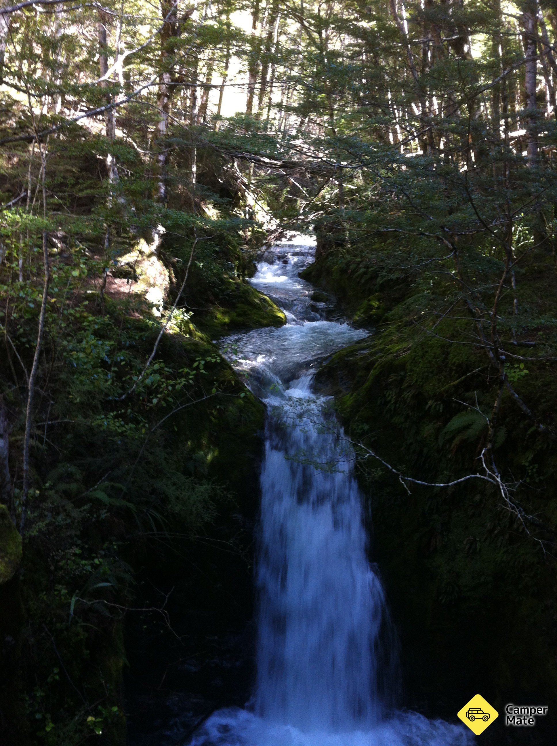 Mt Crichton Loop Track(マット・クライトン・ループ・トラック) - Image 3