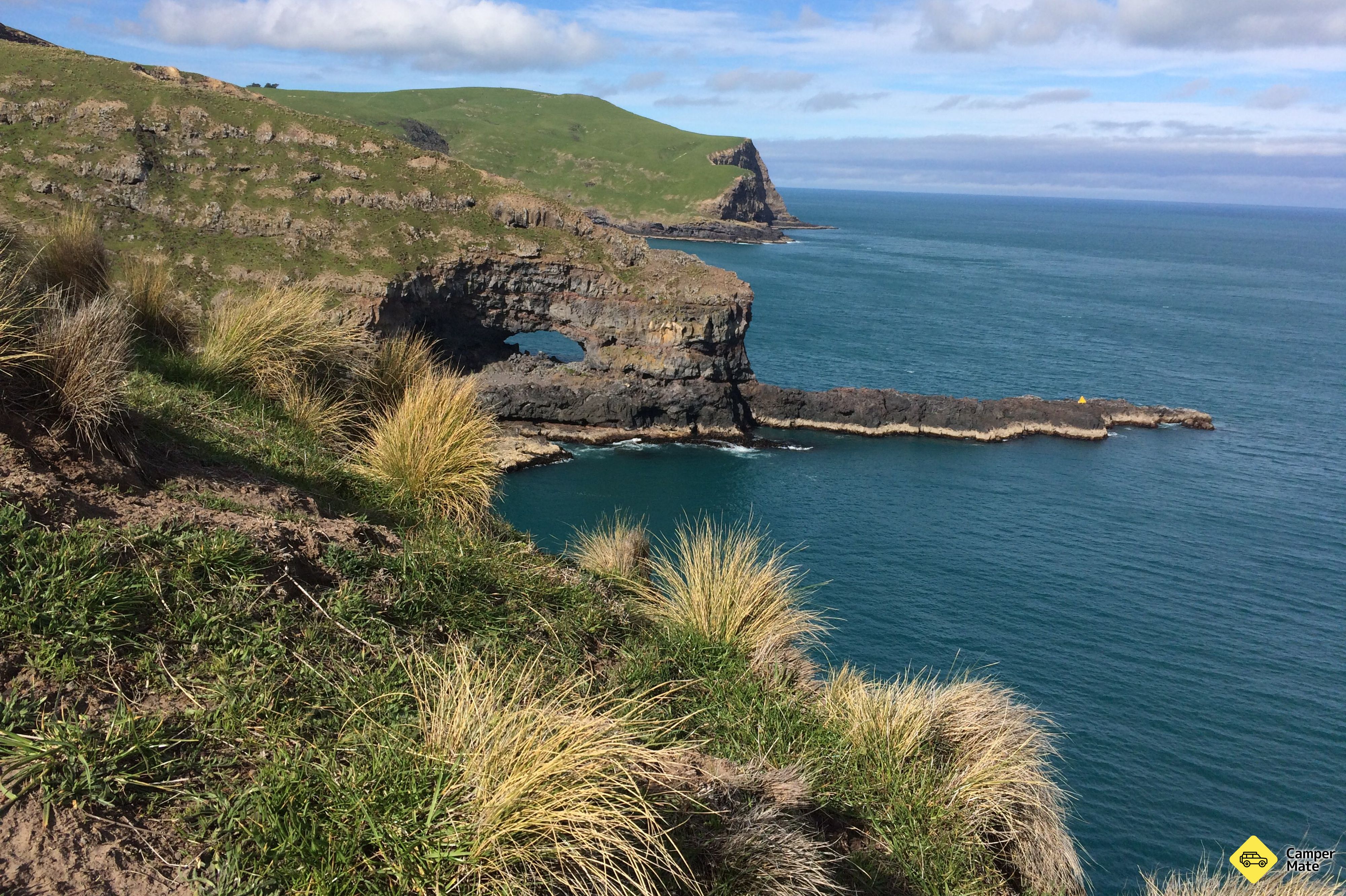 Akaroa Head - Image 2
