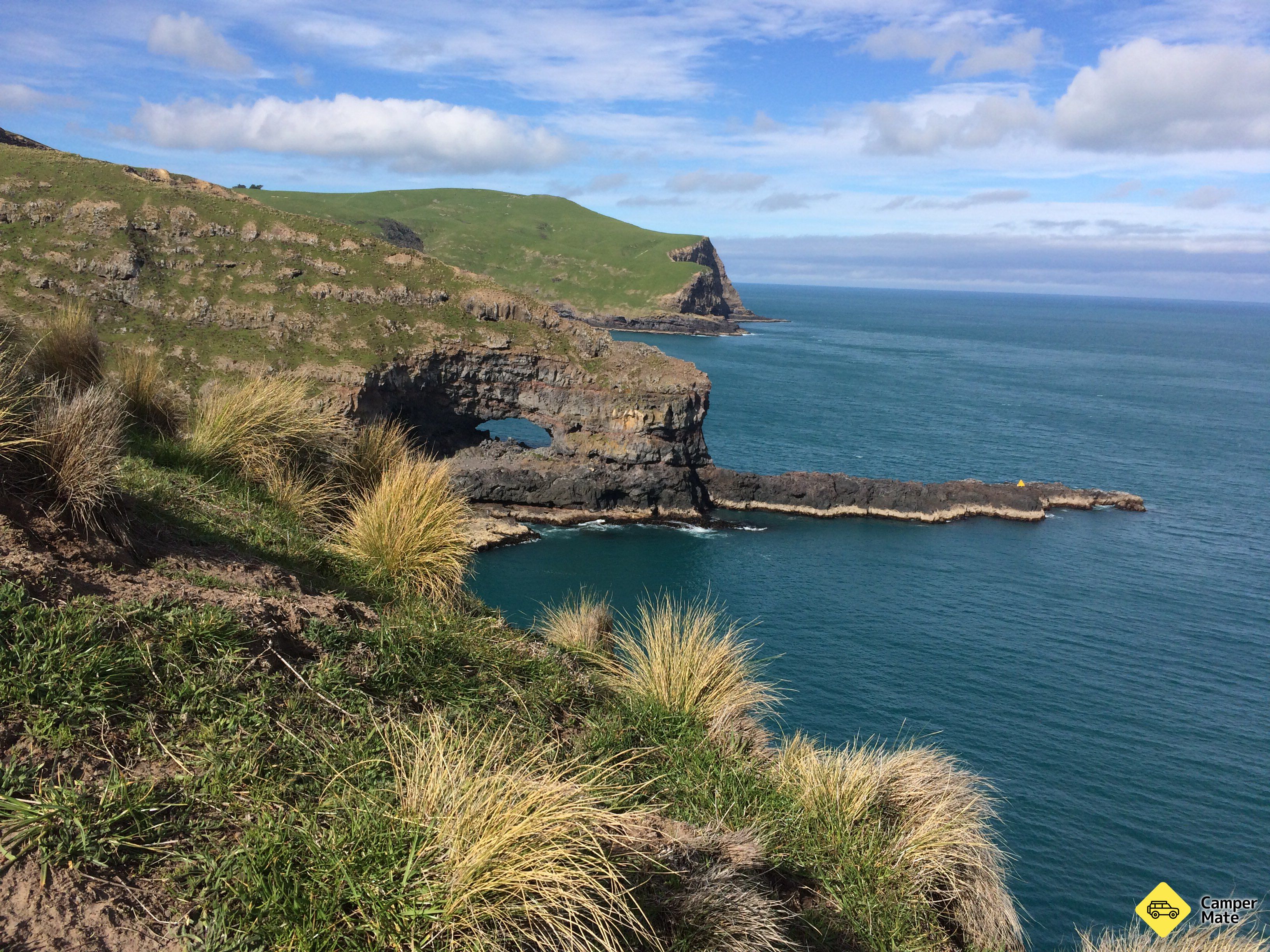 Akaroa Head - Image 2