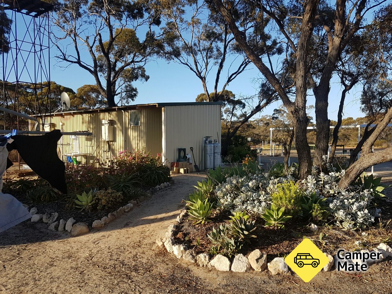 Activiteiten in de omgeving van Salmon Gums Community Caravan Park