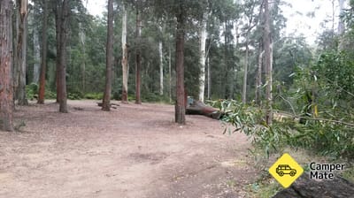 Murphys Glen campsite 
