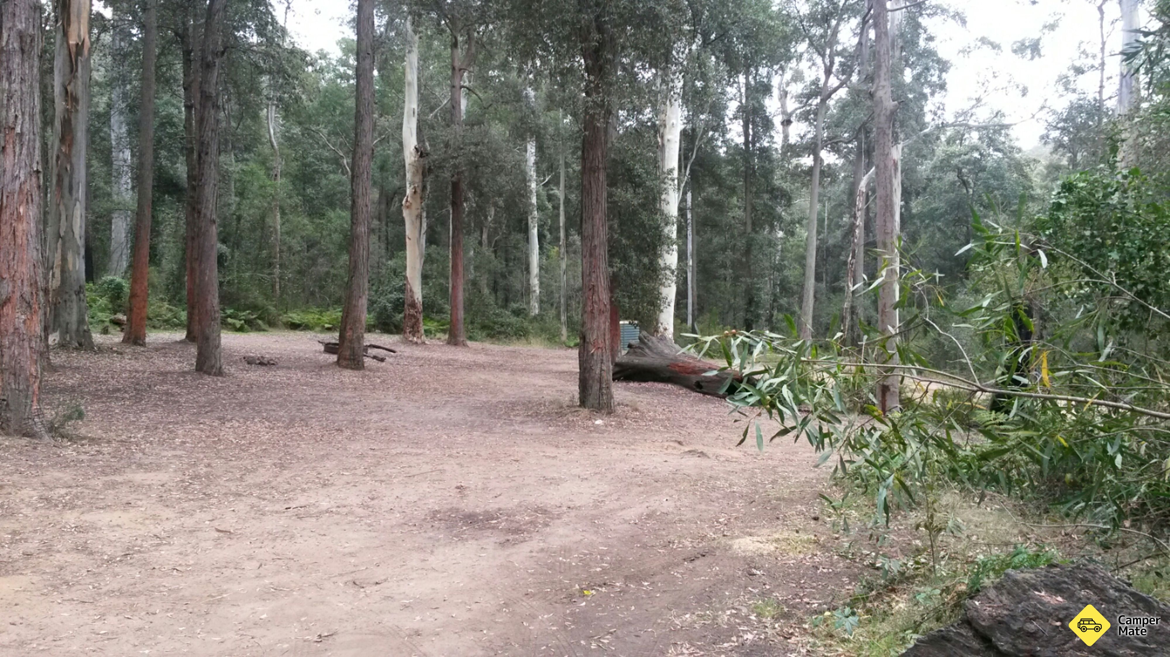 Campamento Murphys Glen