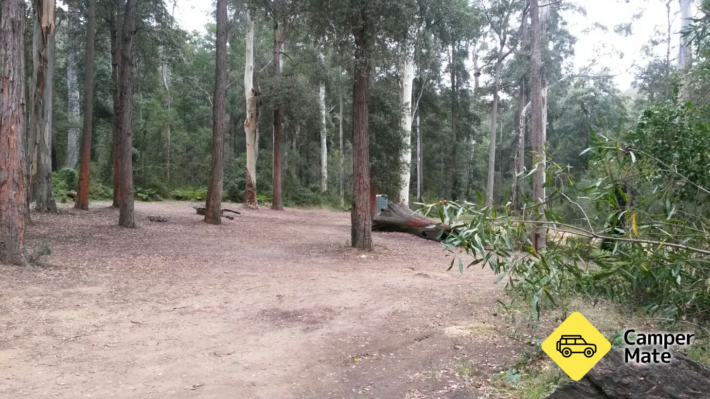Murphys Glen campsite