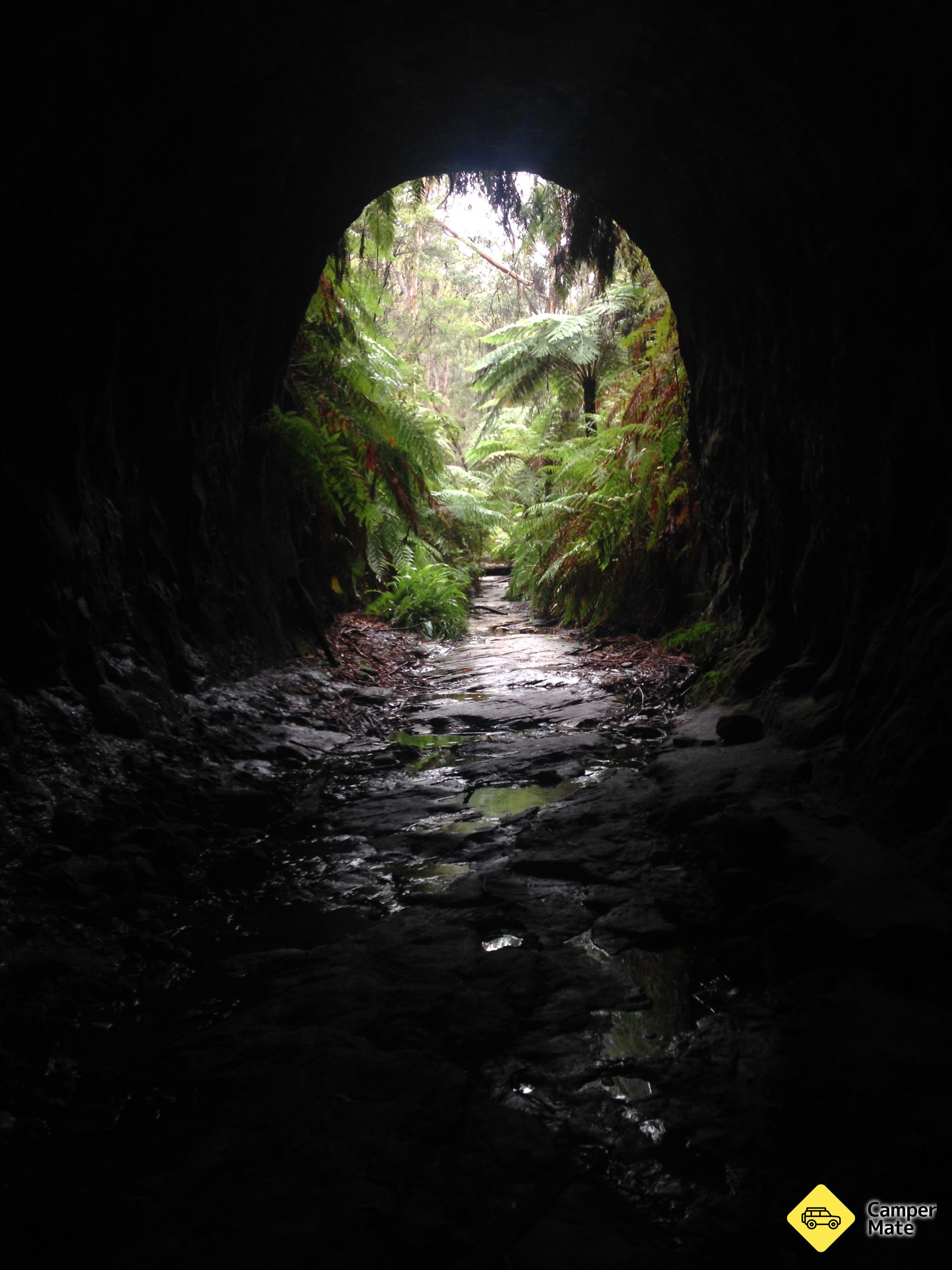 Campground - Image 3