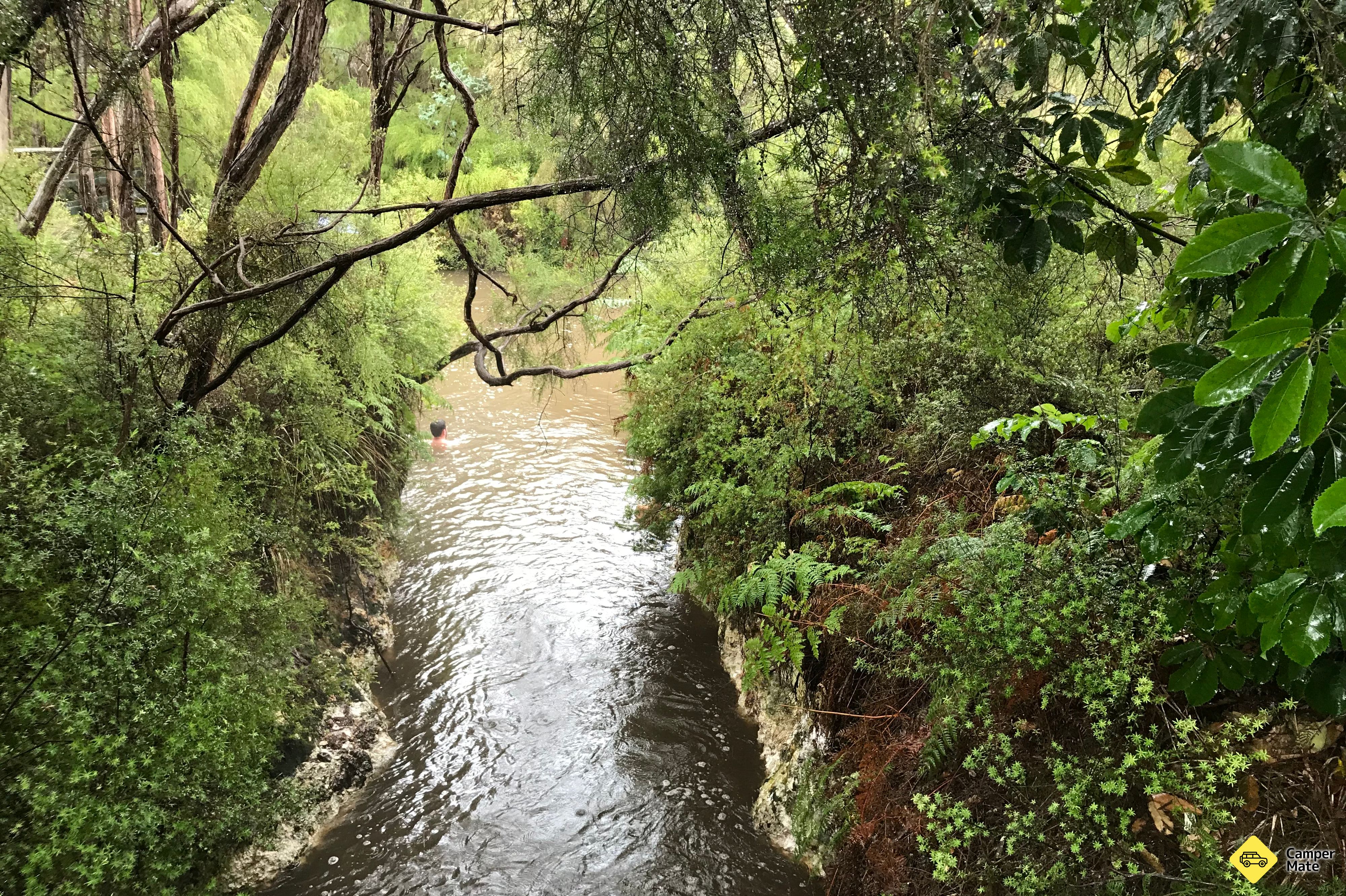 Waiotapu Stream Hot and Cold Springs - Image 2