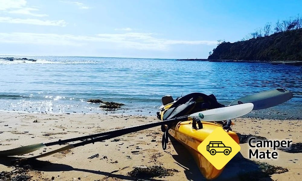Batemans Bay Kayak & Snorkel Tour - Image 2