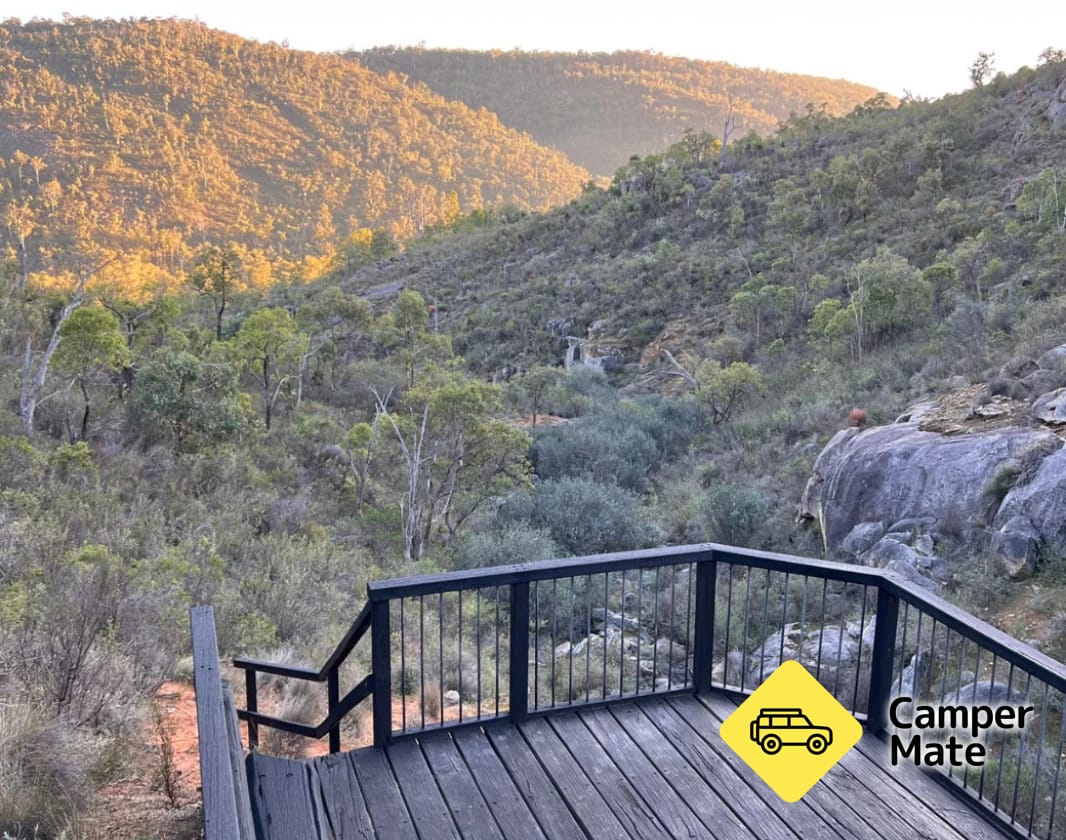 Numbat Trail zwiedzanie