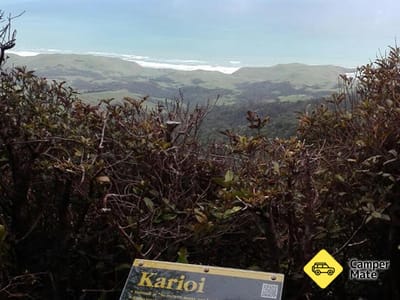 Mt Karioi Track