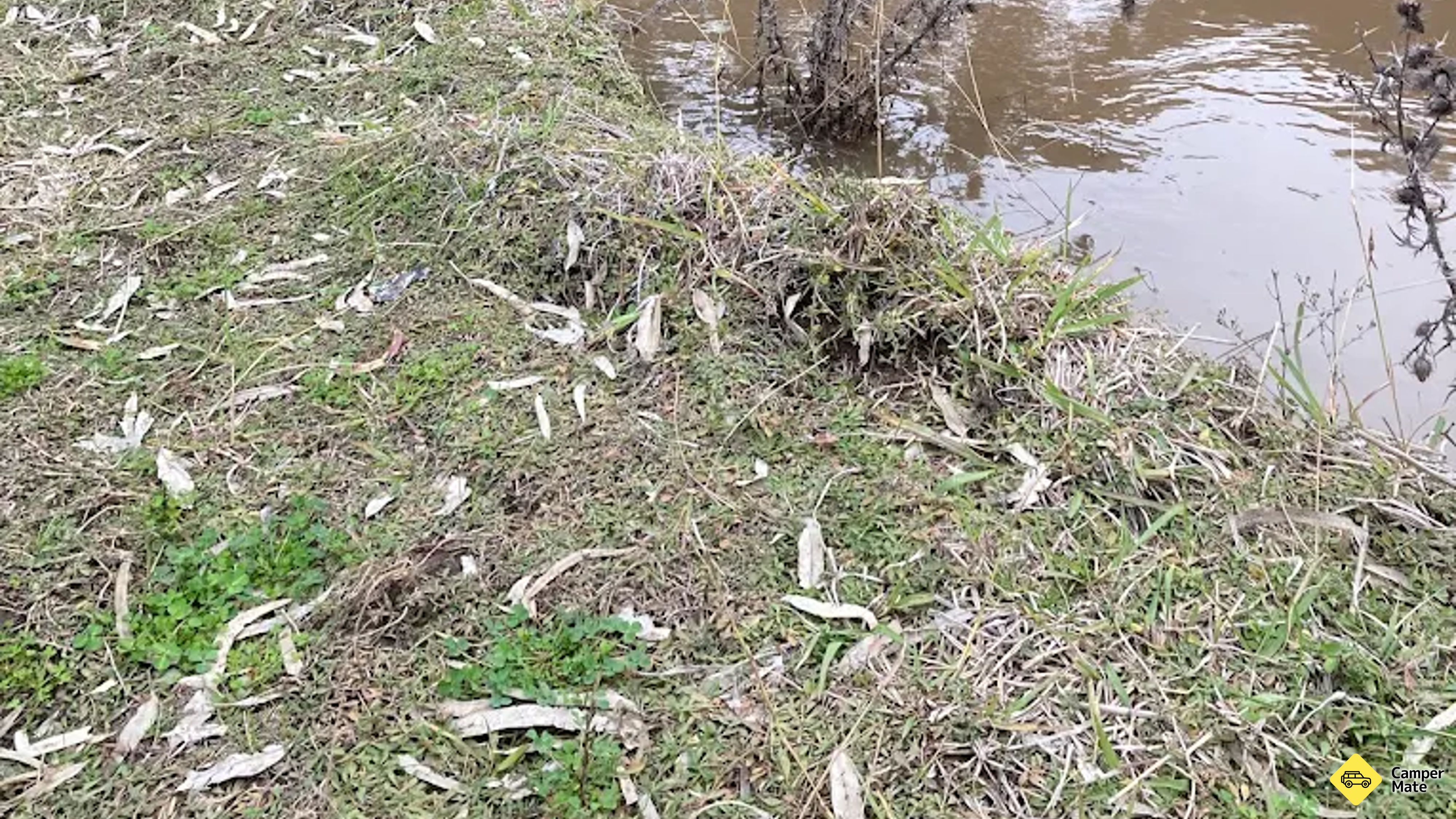 Mulguthrie Weir