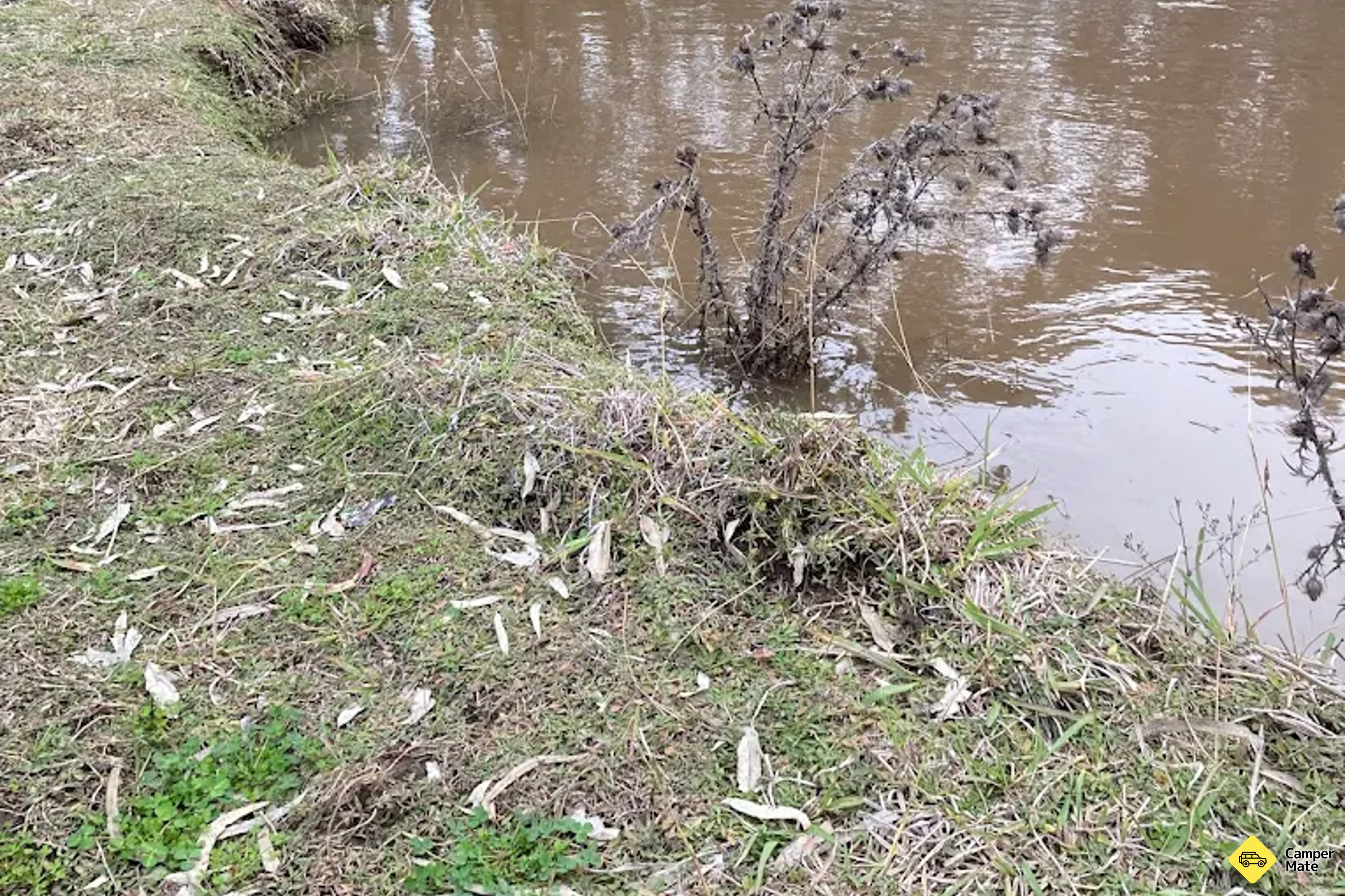 Mulguthrie Weir