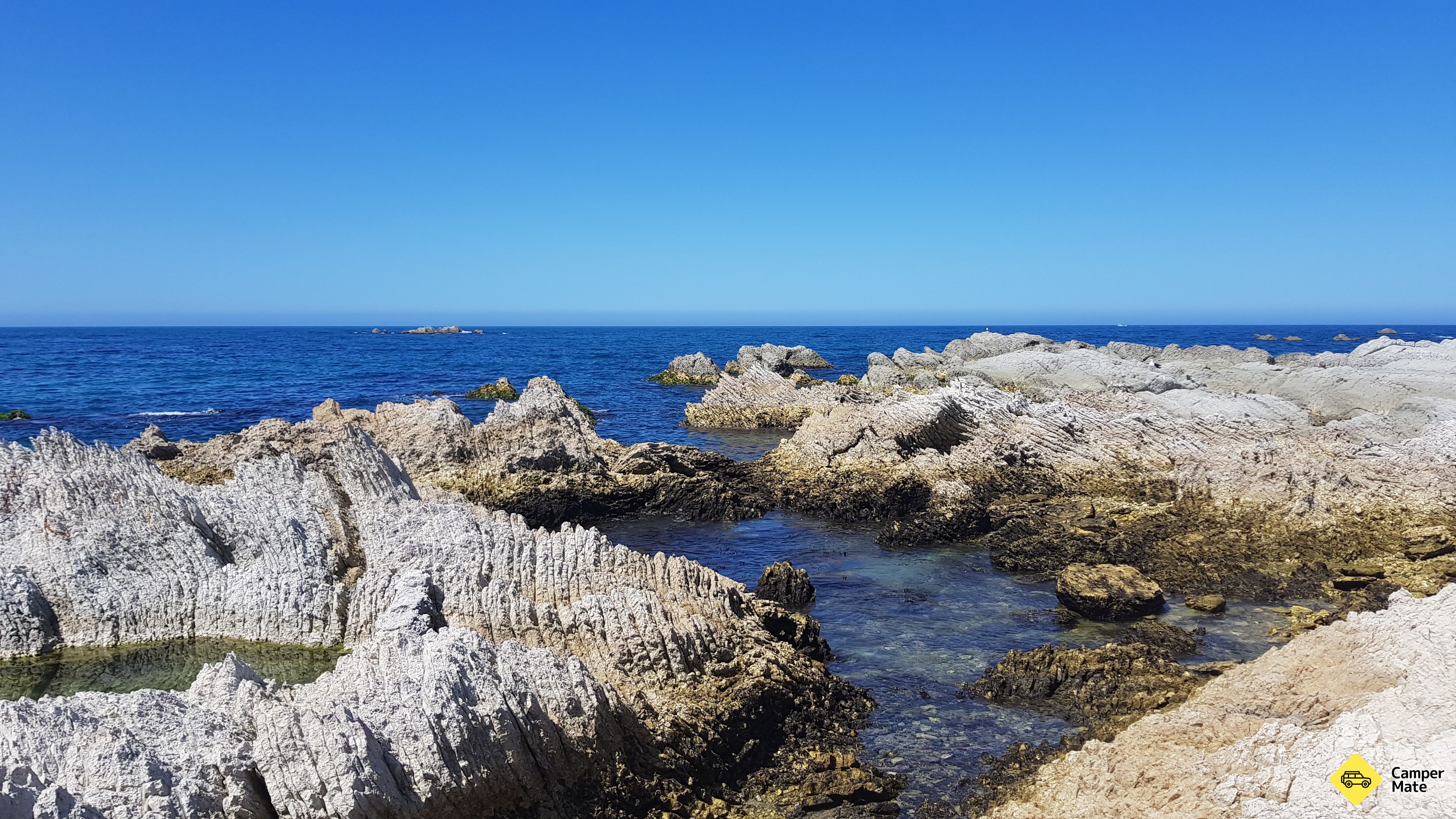 Kaikoura Seals Beach - Image 3