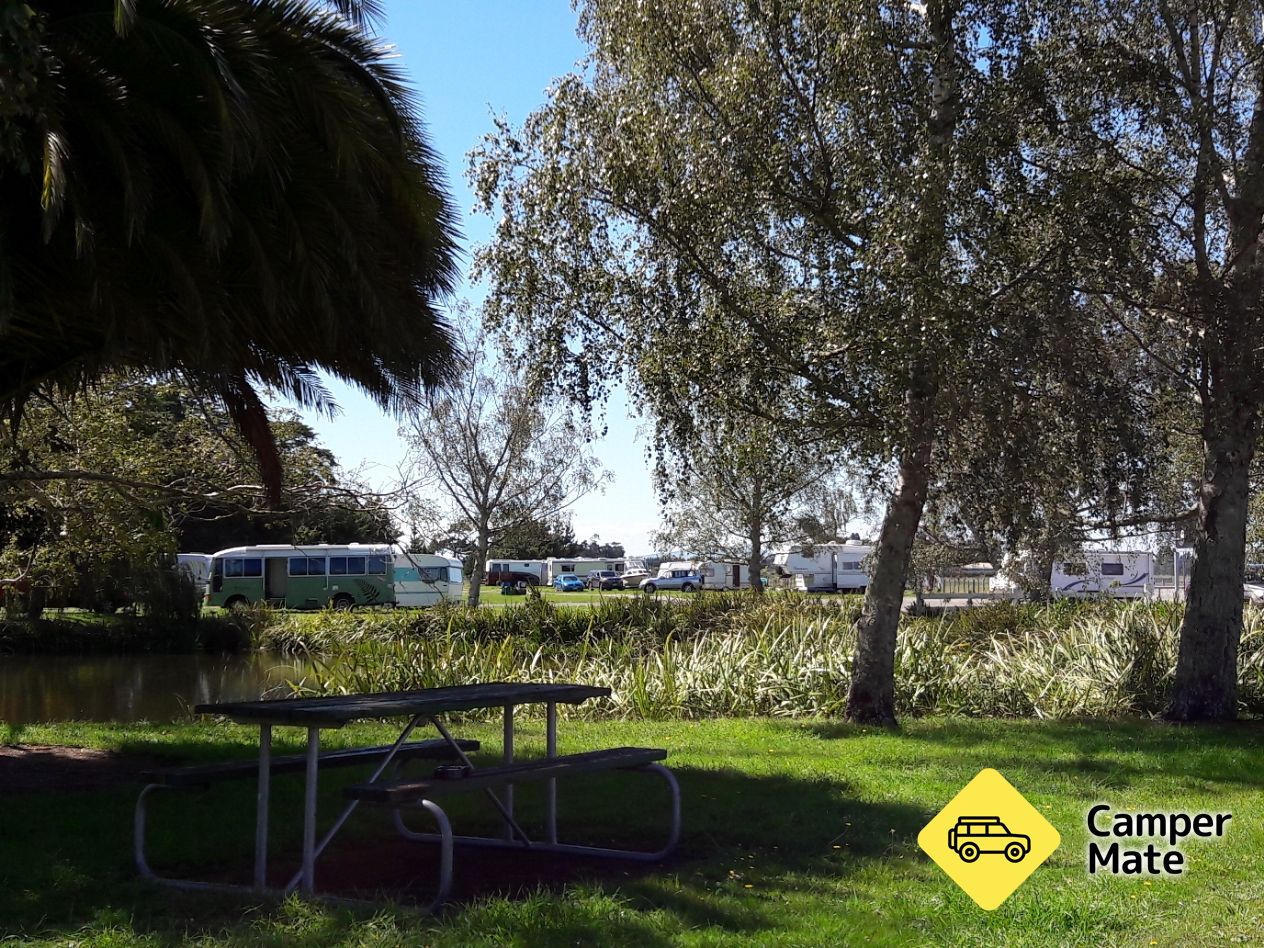 Clareville Motor Camp & Showgrounds - Image 3