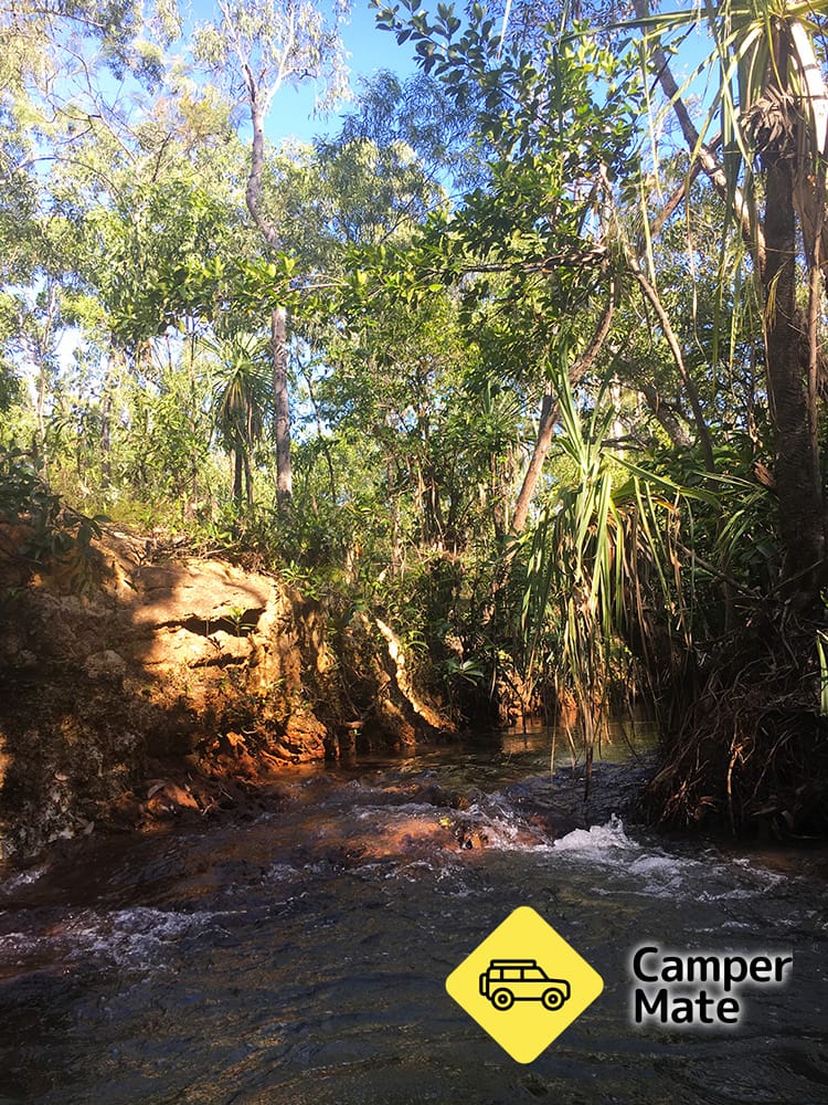 Wathawuy (Latram River) Campground - Image 2