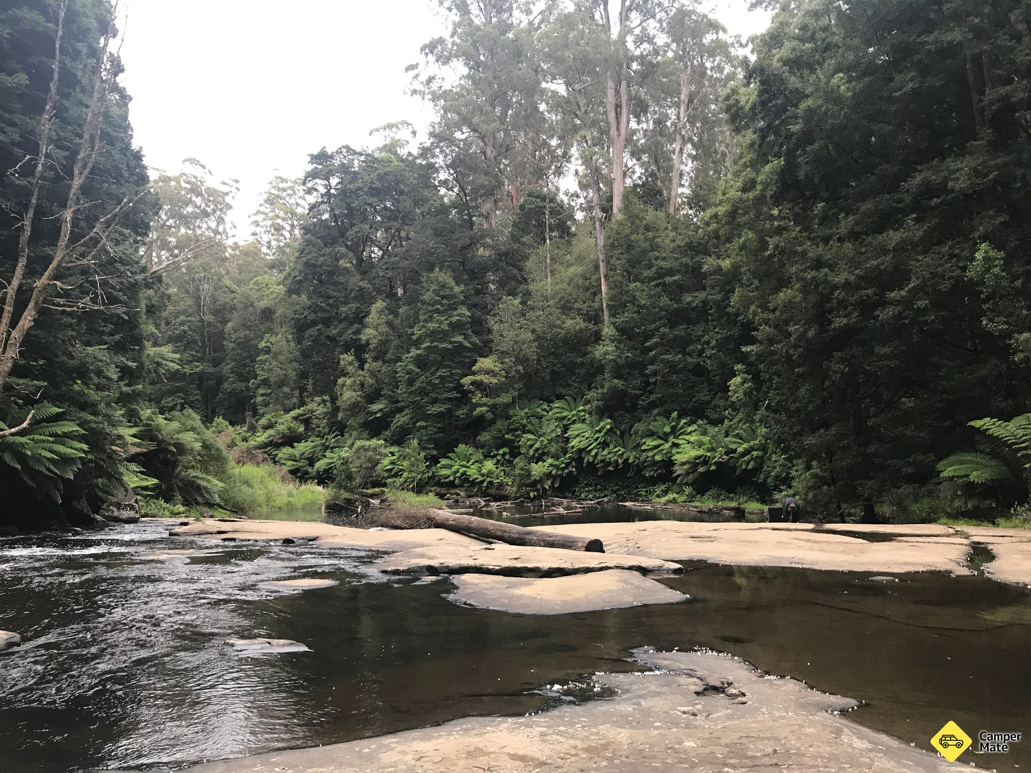 Aire Crossing Campground, Great Otway Forest Park - Image 3