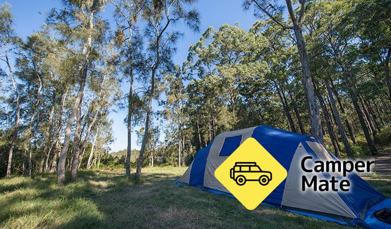 Tattersalls Campground - Image 2