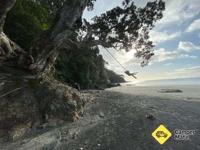 Pohutukawa Park (The Esplanade)