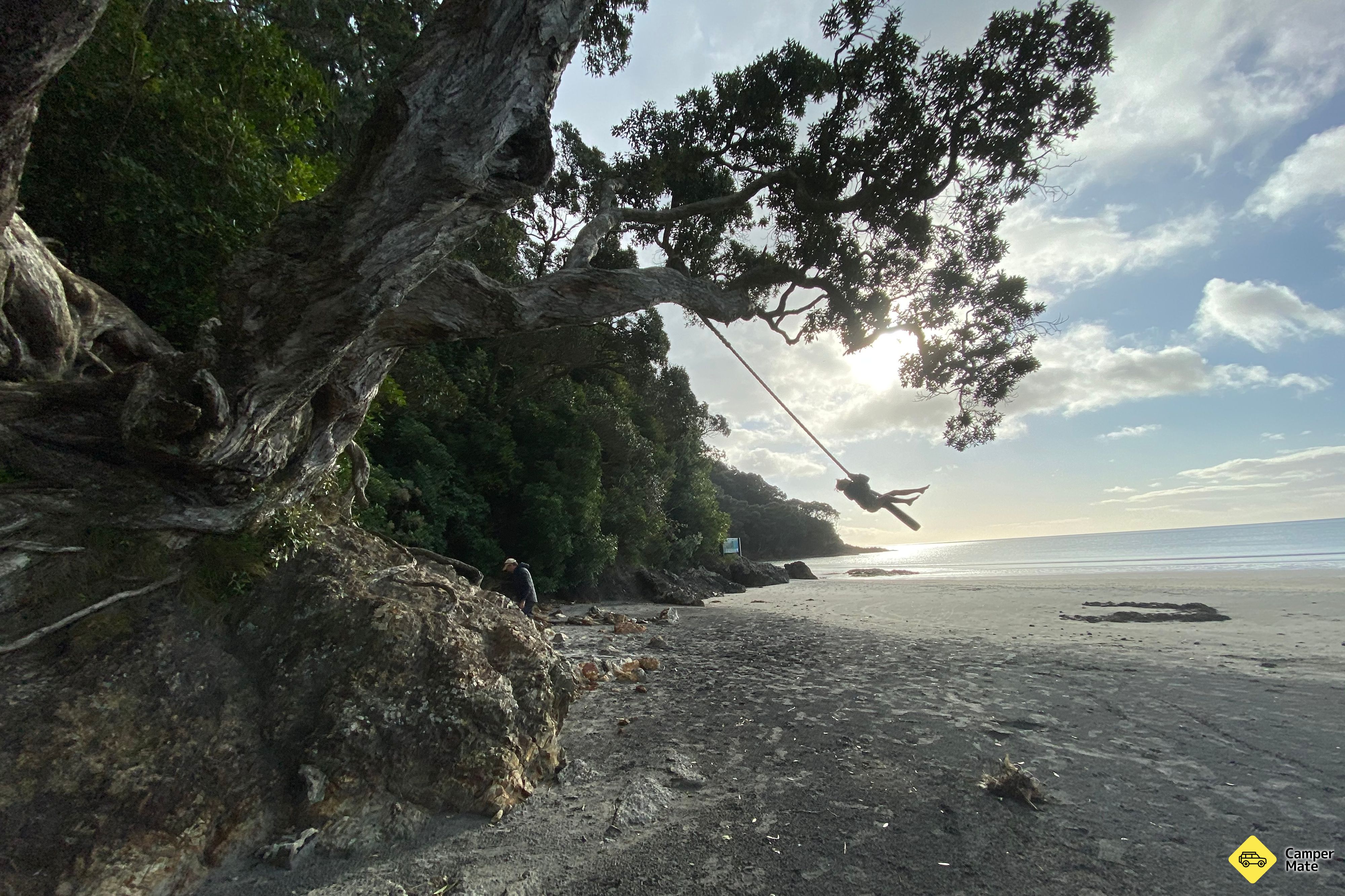 Pohutukawa Park (The Esplanade)