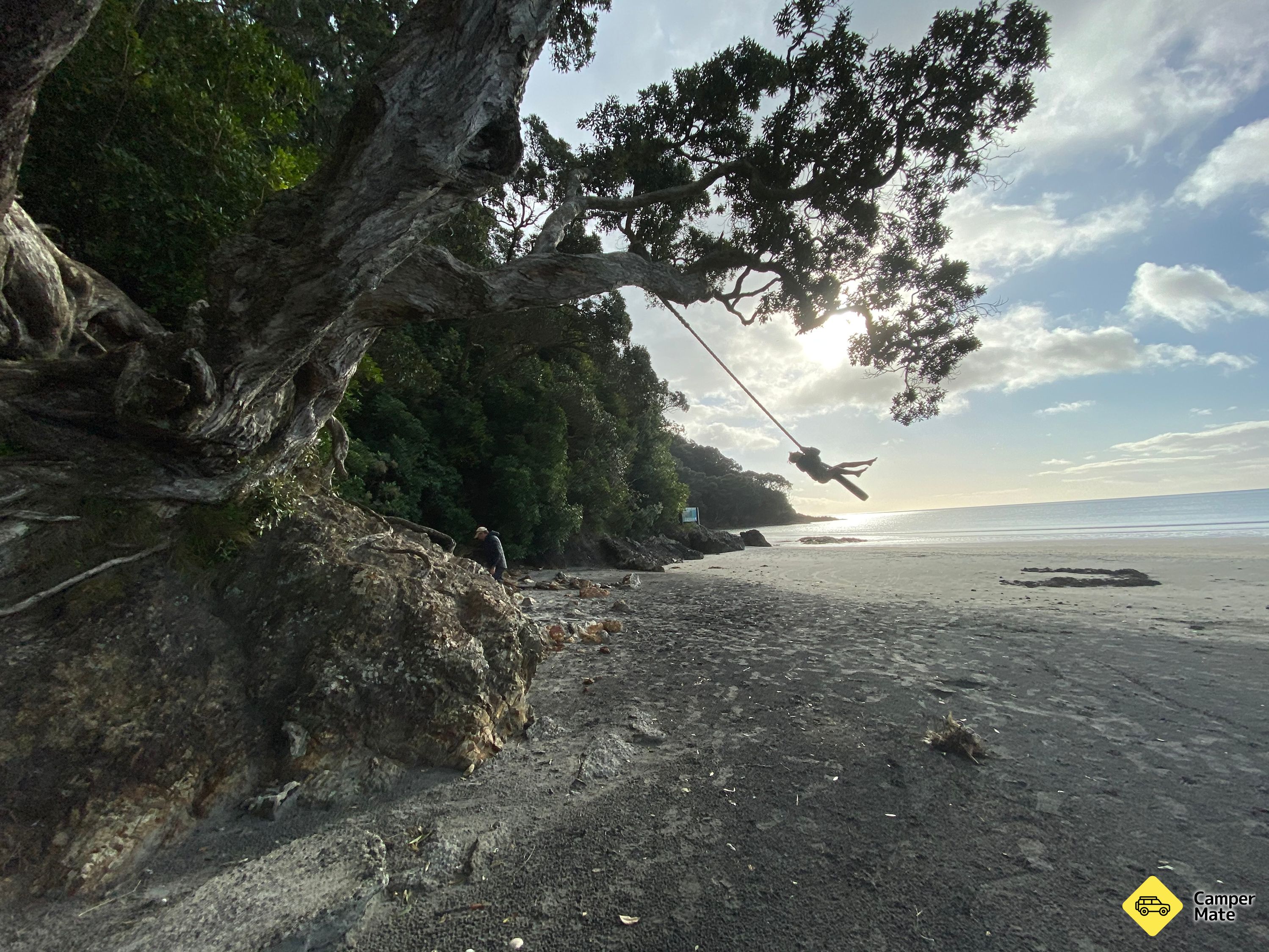Pohutukawa Park (The Esplanade)