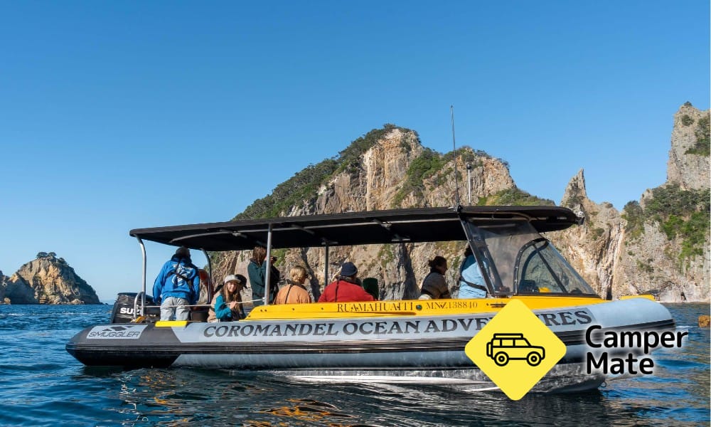 Aldermen Islands or Ruamaahu Nature Reserve Scenic Boat Tour - Image 2