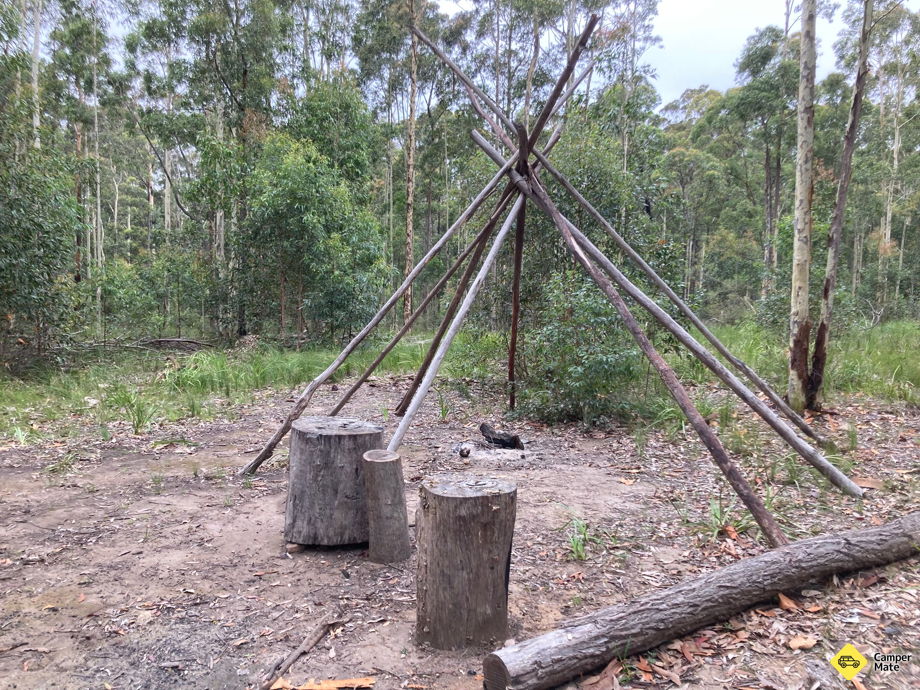 Tomerong Rest Area - Free Camping in State Forest - Image 2