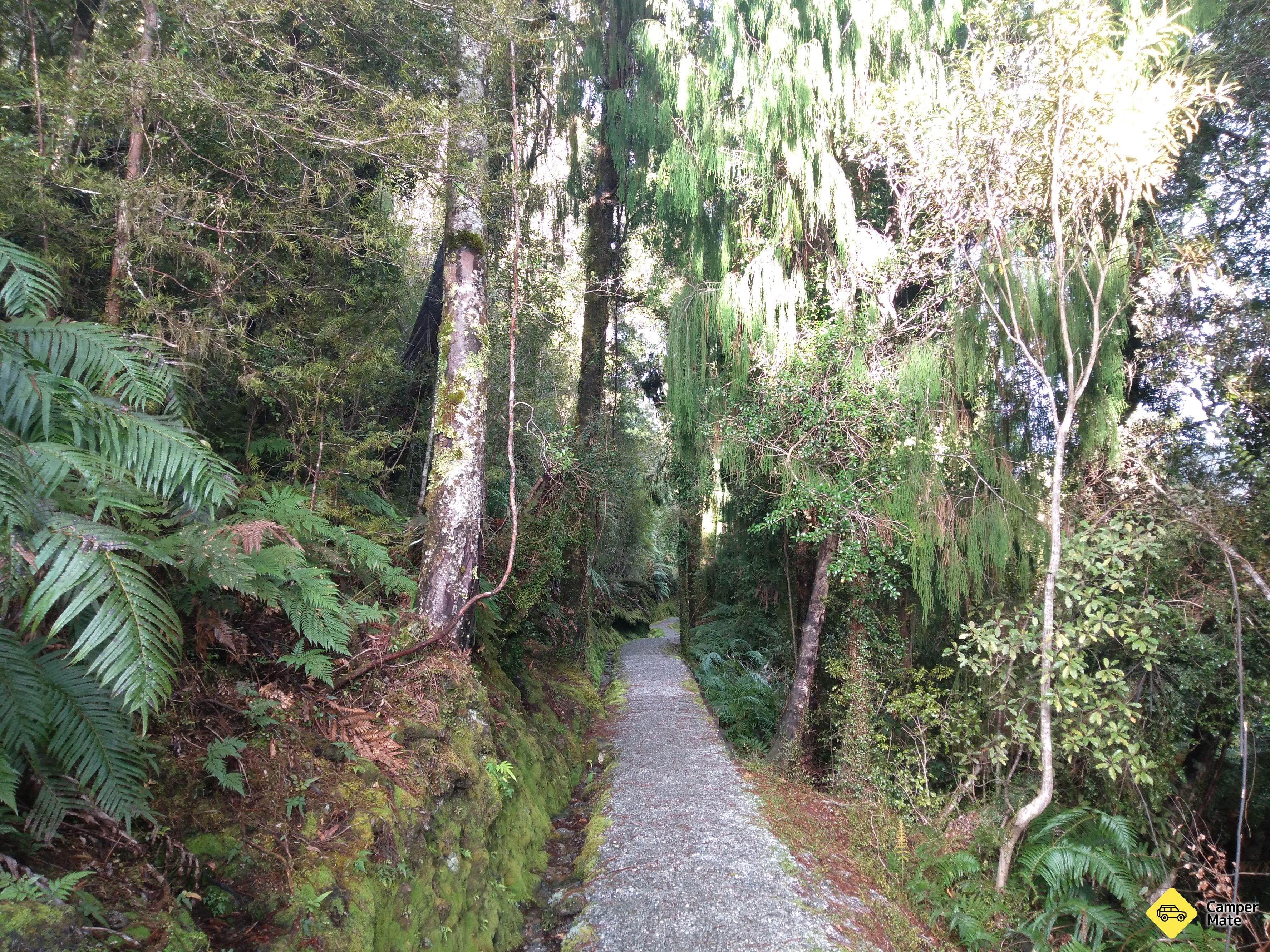 Pakihi Track - Image 2
