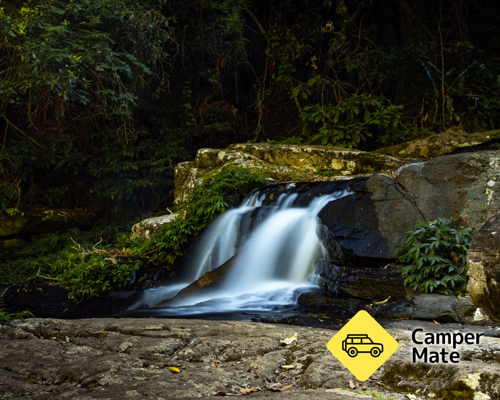 Elabana Falls Track - Image 2
