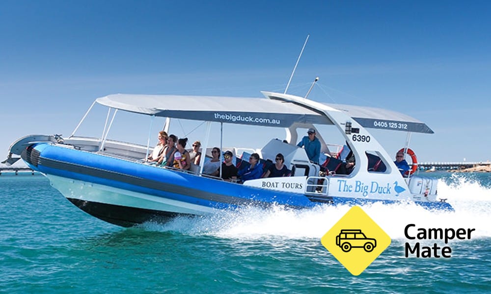 Wirrina Scenic Cruise - Image 2