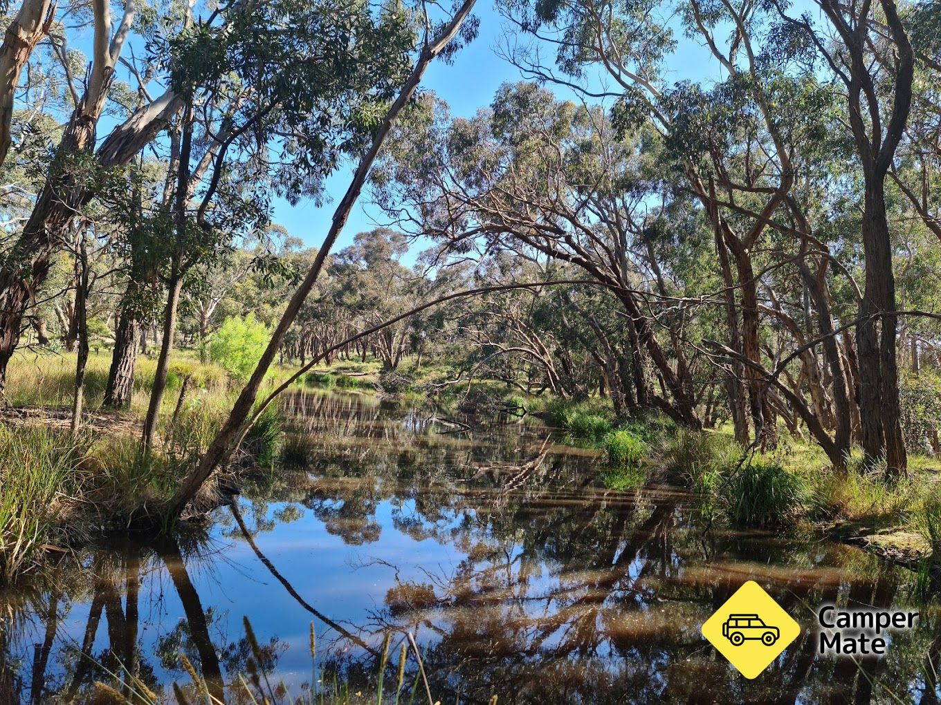 Boar Gully Campground