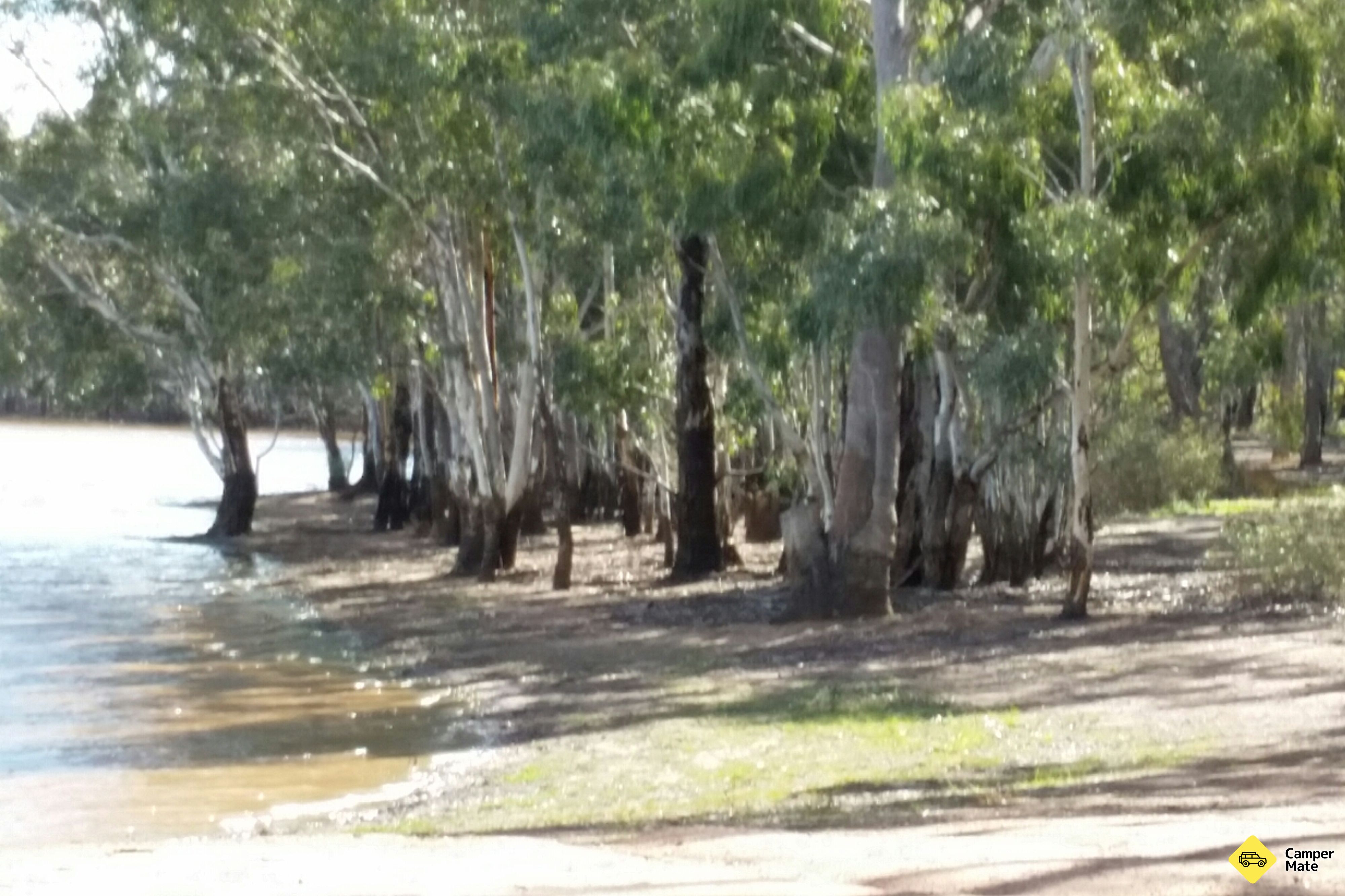 Skinners Flat Reservoir Camp Area - Image 2