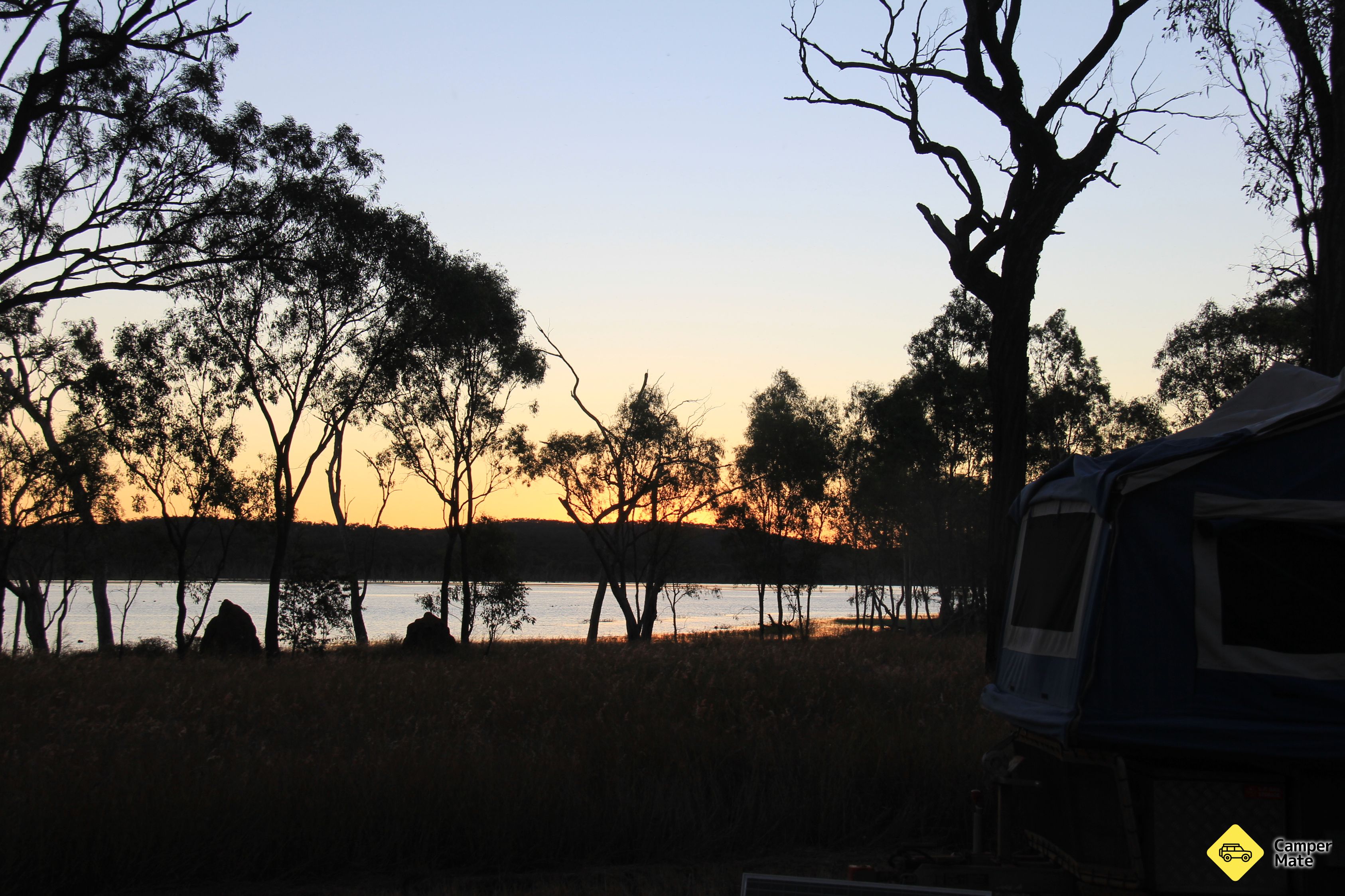 Etichetă: Swamp Campground