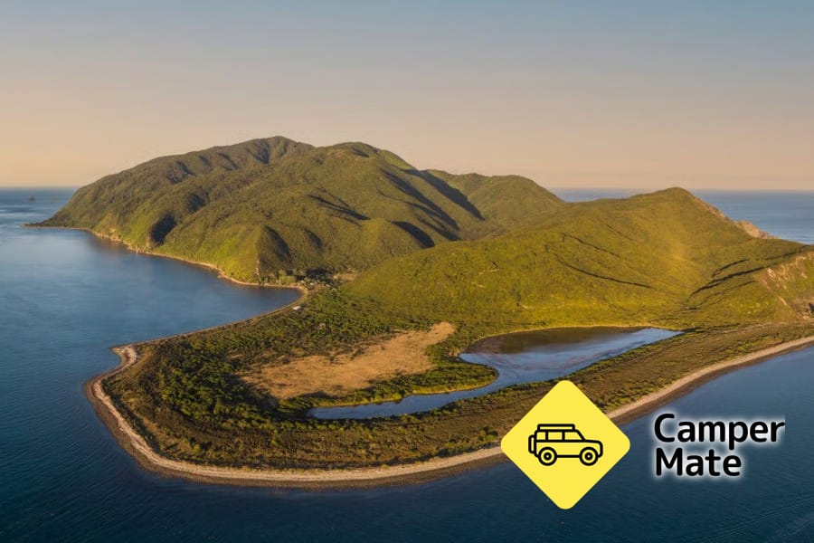 Kapiti Island Nature Tours - Image 3