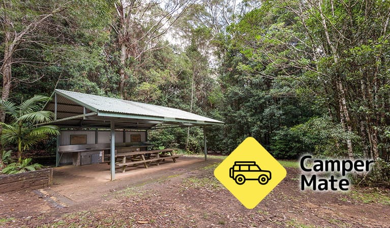 Bellbird Campground - Image 2