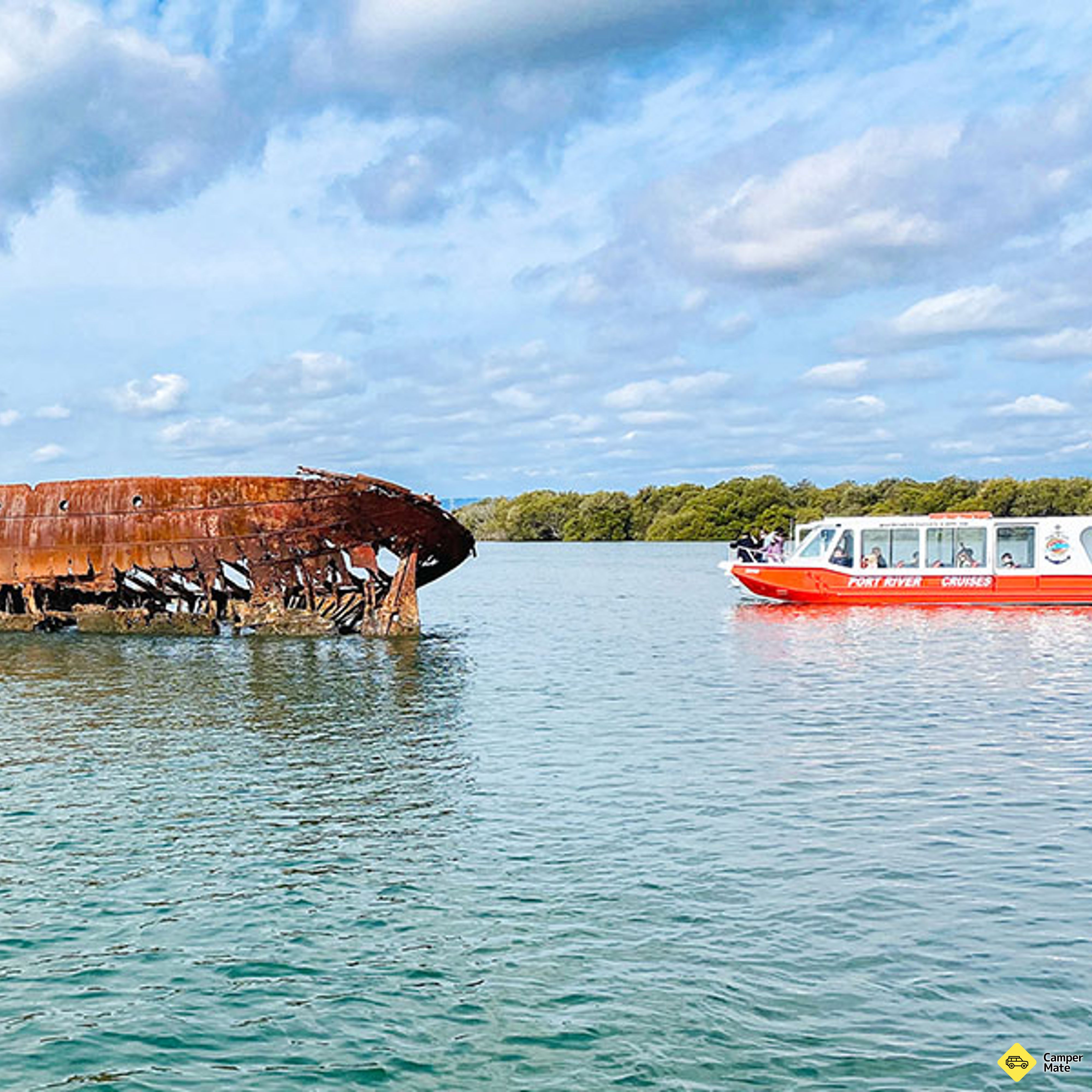 Port River Dolphin Cruise - 90 Minutes - Image 2