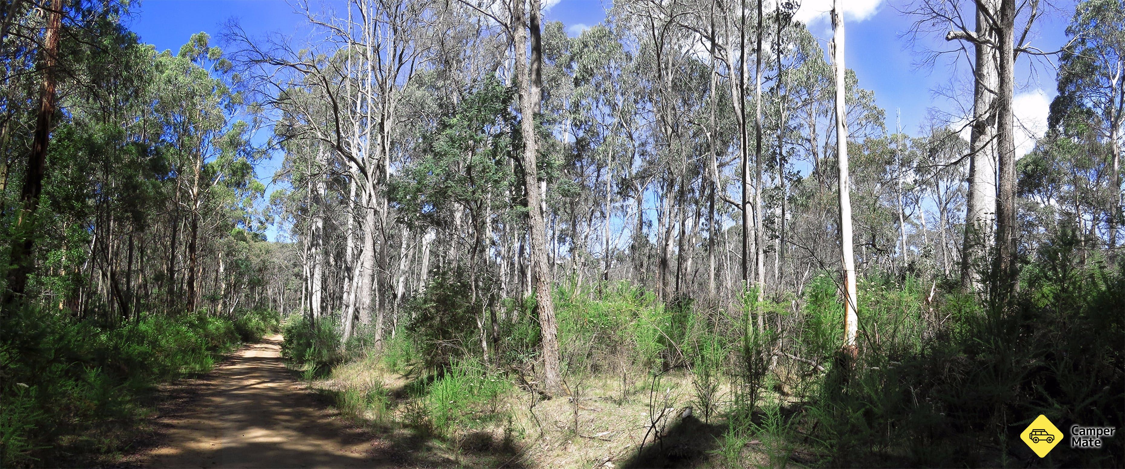 Mount Samaria State Park - Image 3