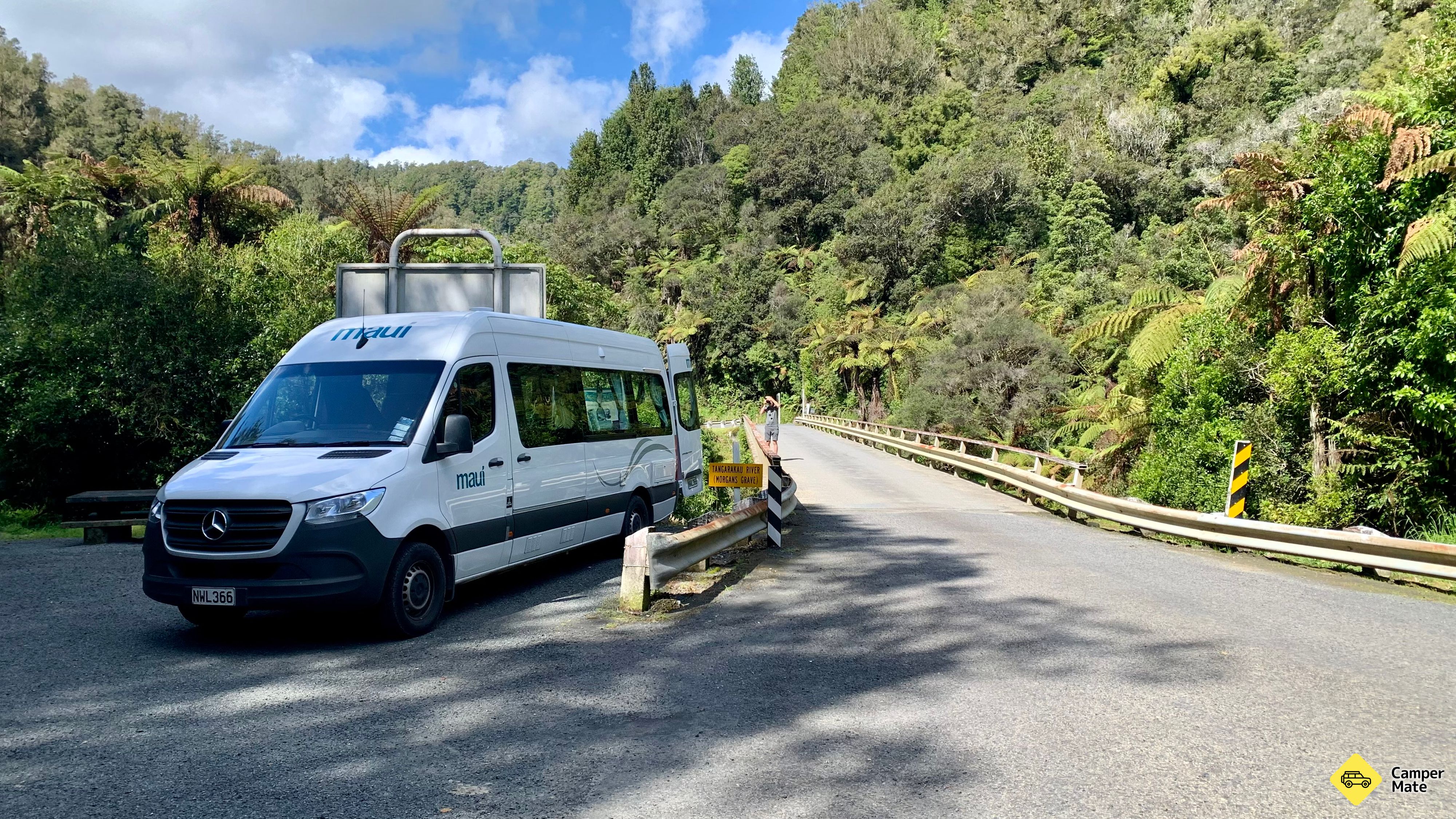 Tangarakau Gorge
