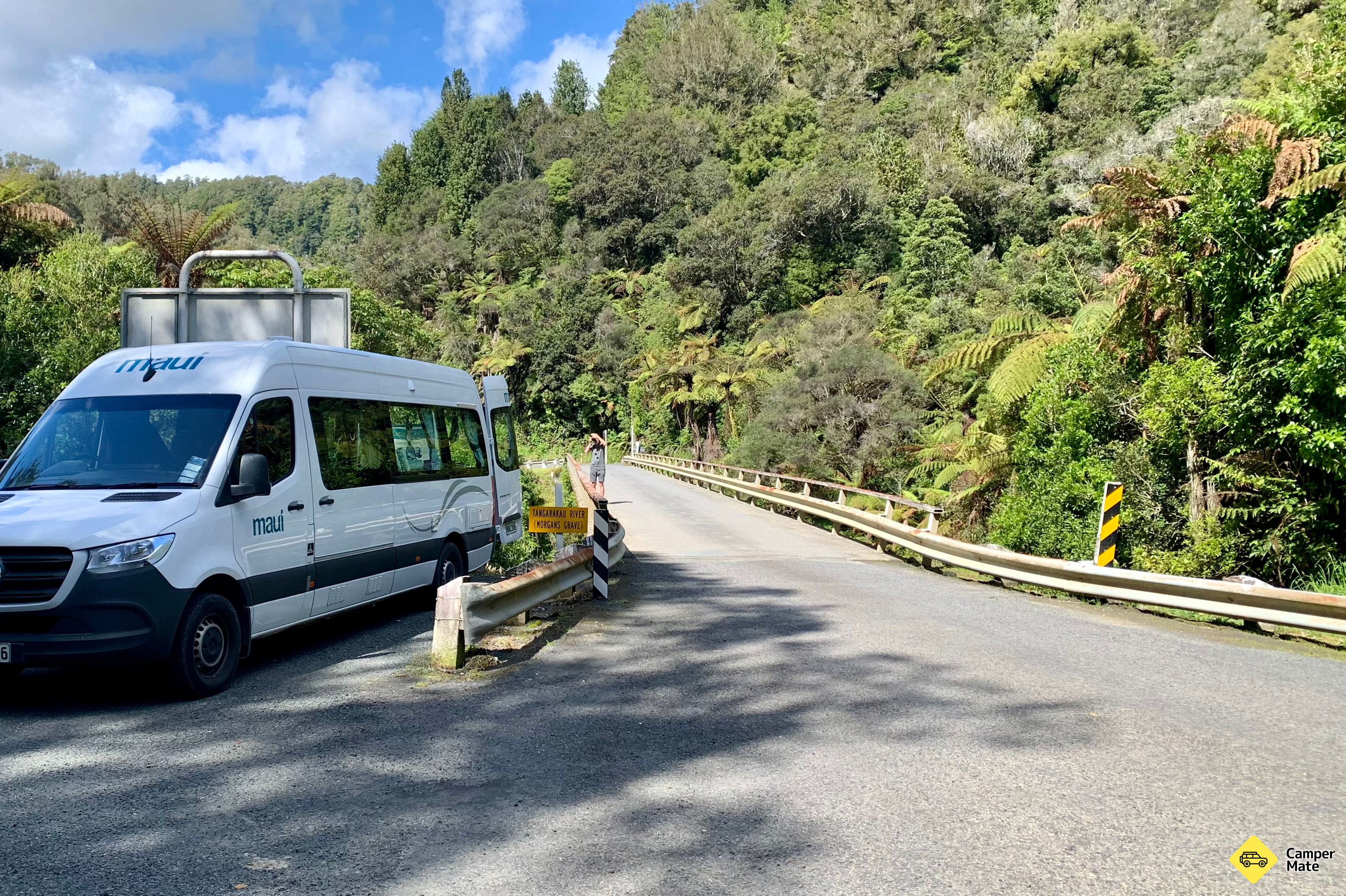 Tangarakau Gorge