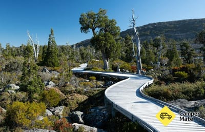 Pine Lake Trail