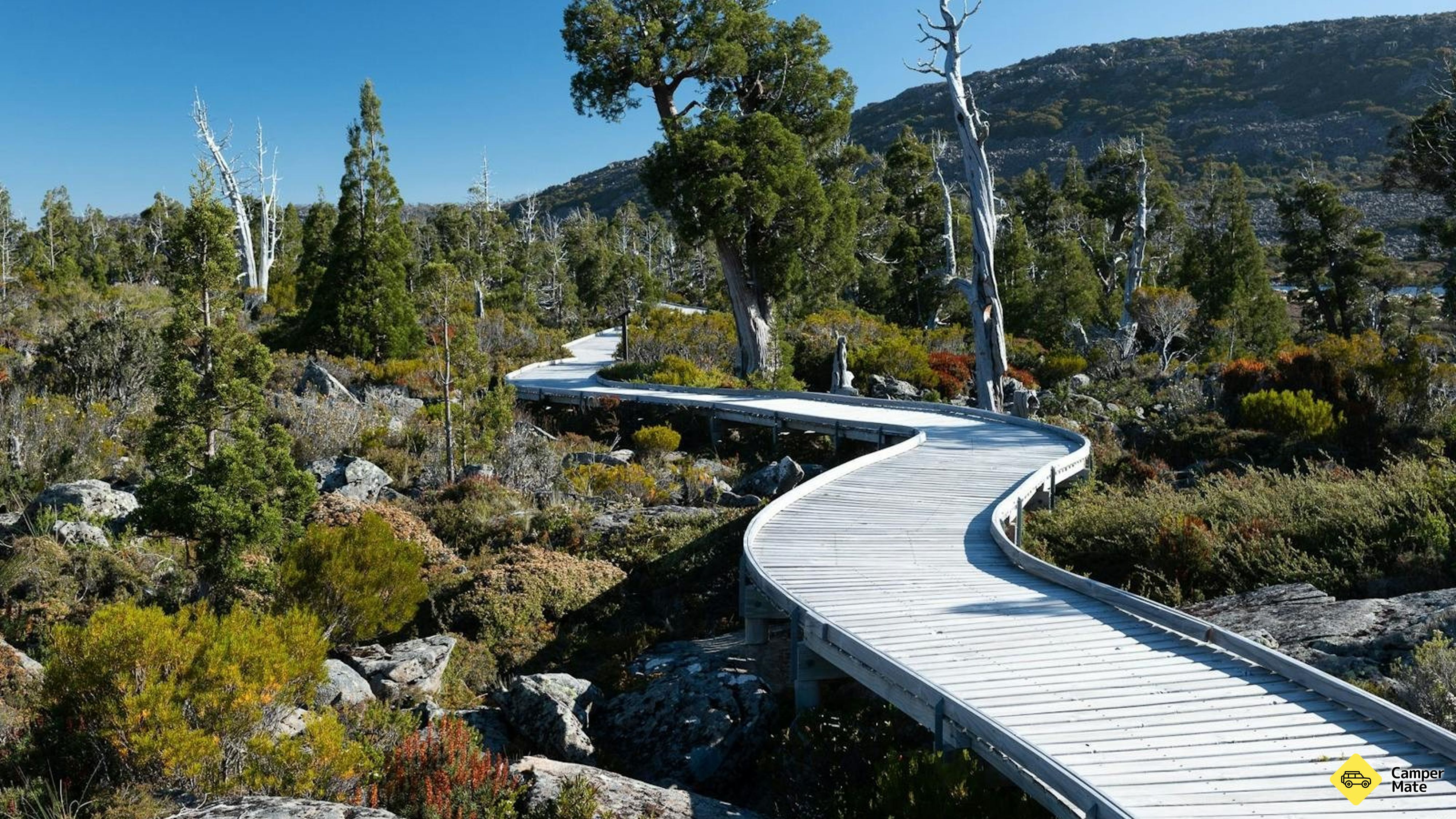 Pine Lake Trail