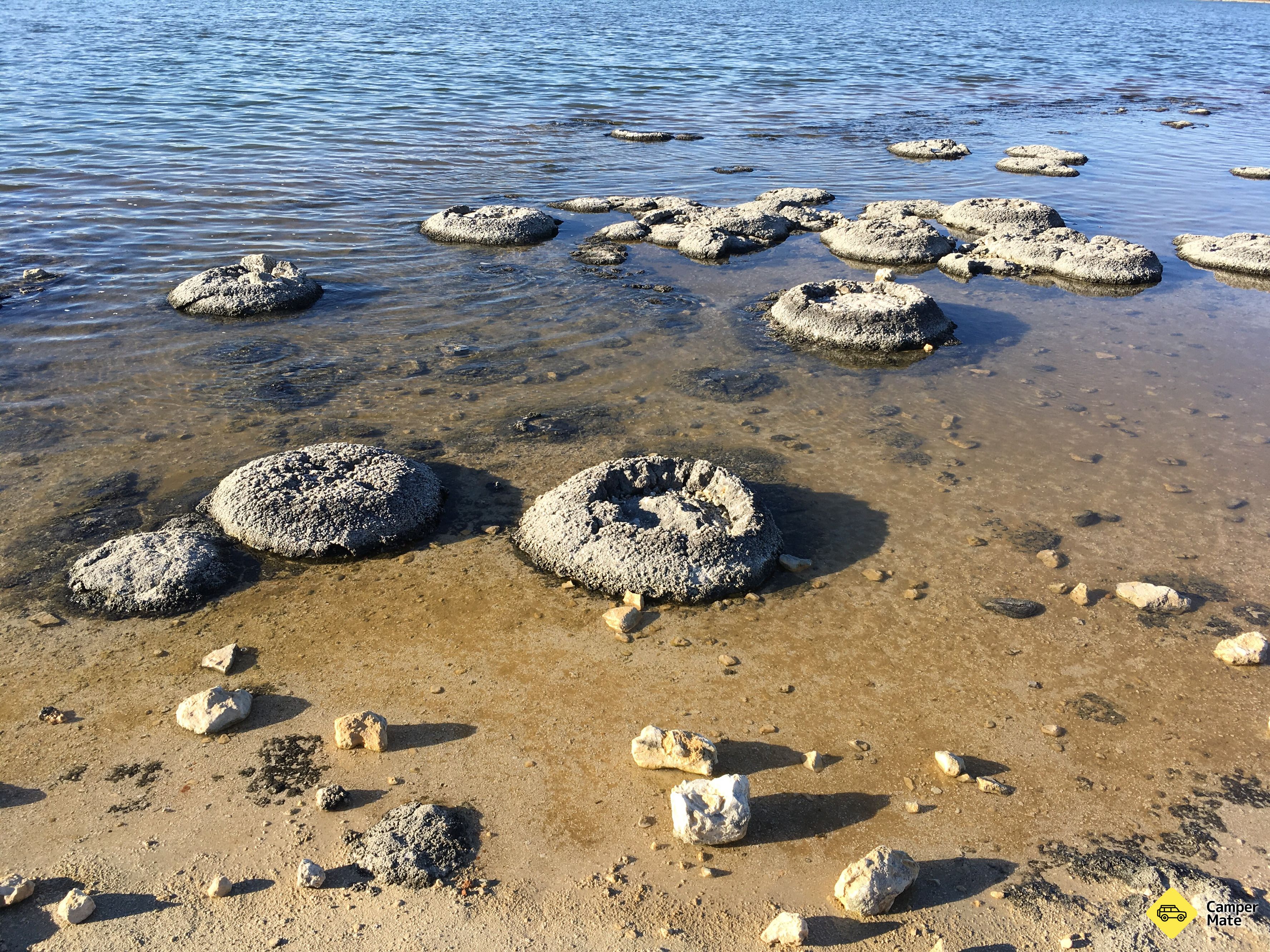 Søen Thetis Stromatolites - Image 2
