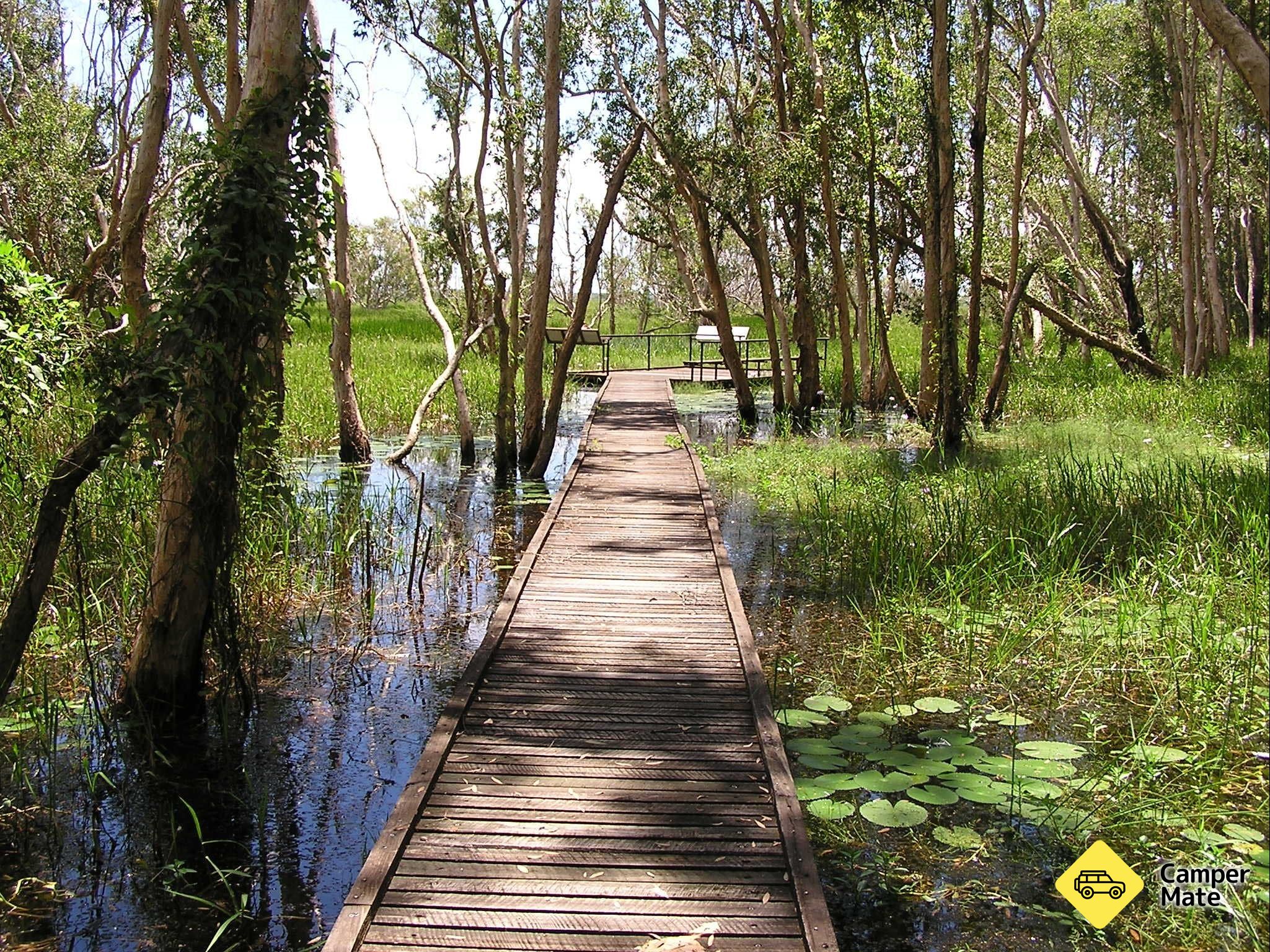 Fogg Dam Conservation Reserve Nature Walks - Image 2