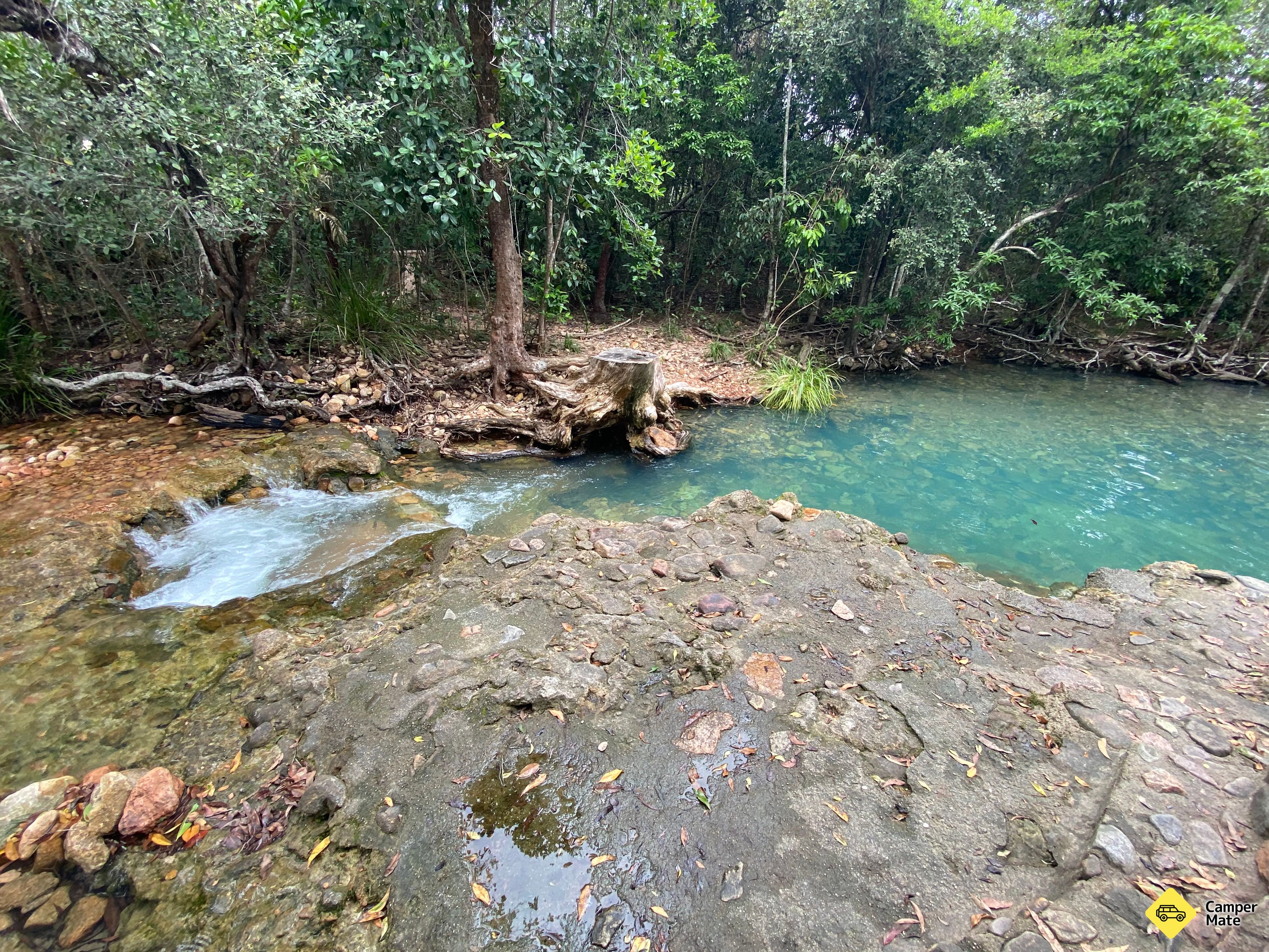 Cardwell Spa プール - Image 3