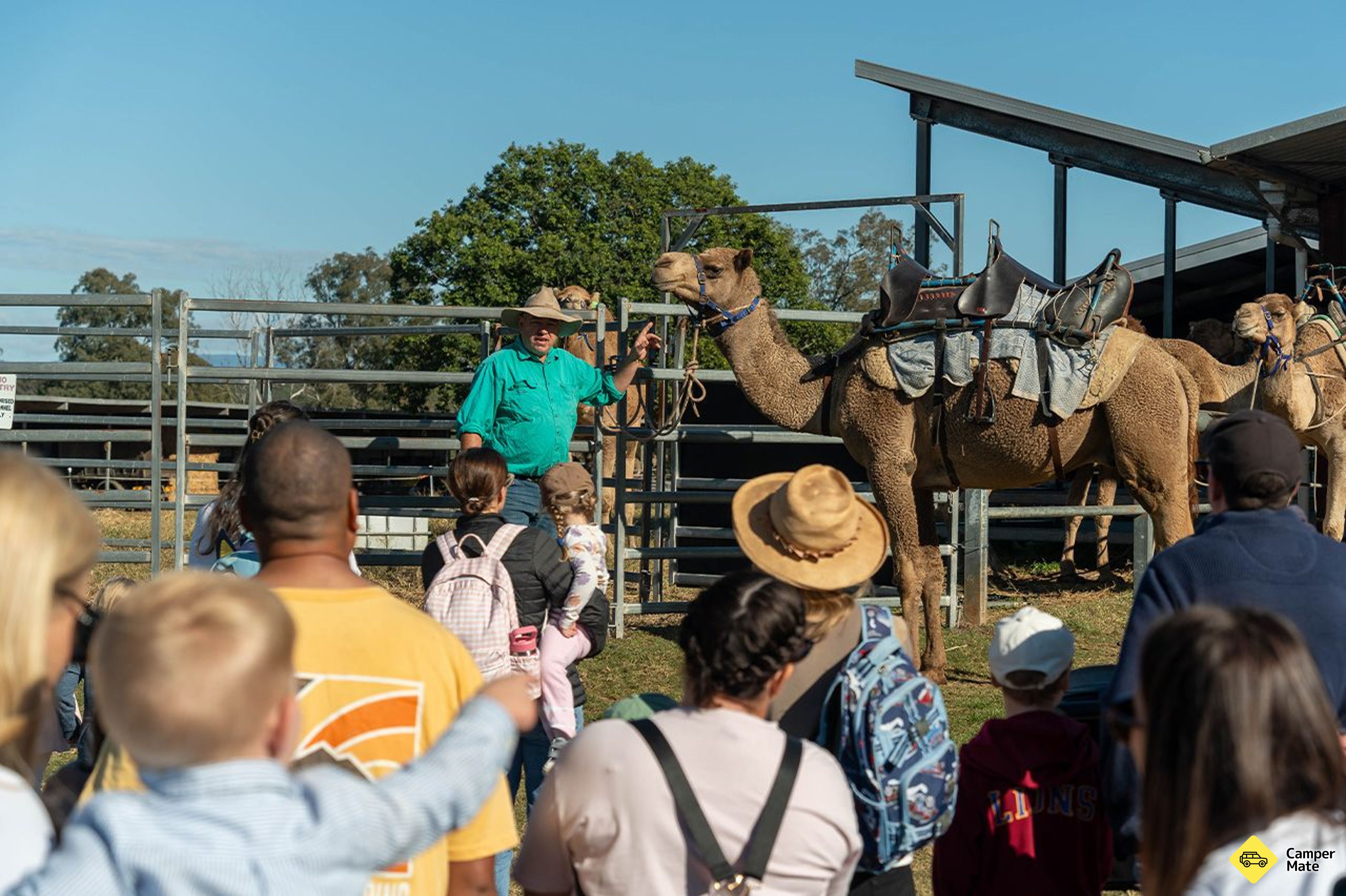 Tour, Taste and Camel Encounter - Eat Local Month - Image 2