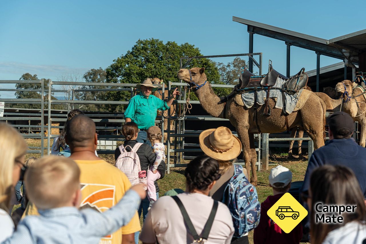Tour, Taste and Camel Encounter  - Eat Local Month - Image 2