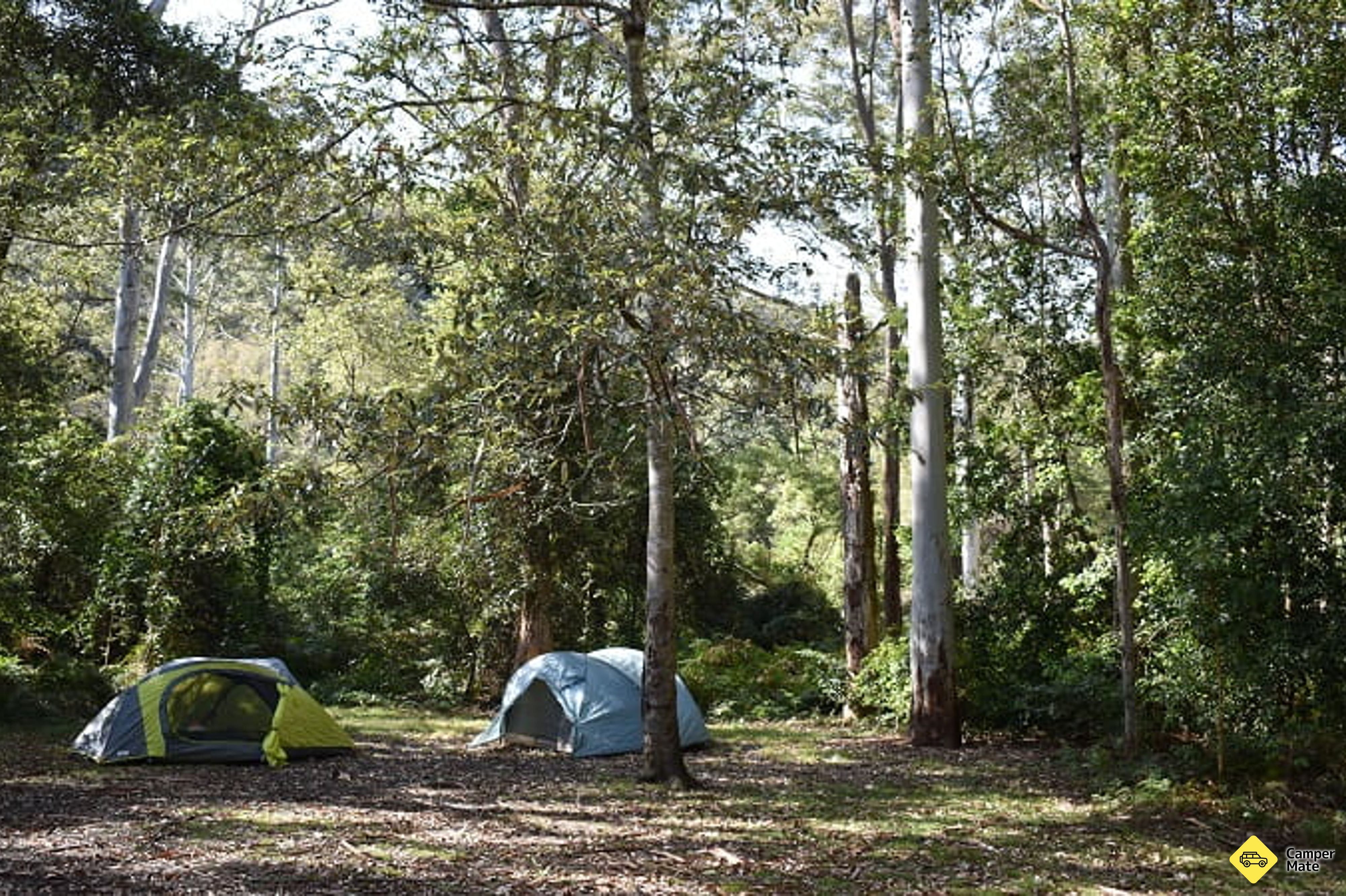 Mill Creek Campground - Image 2