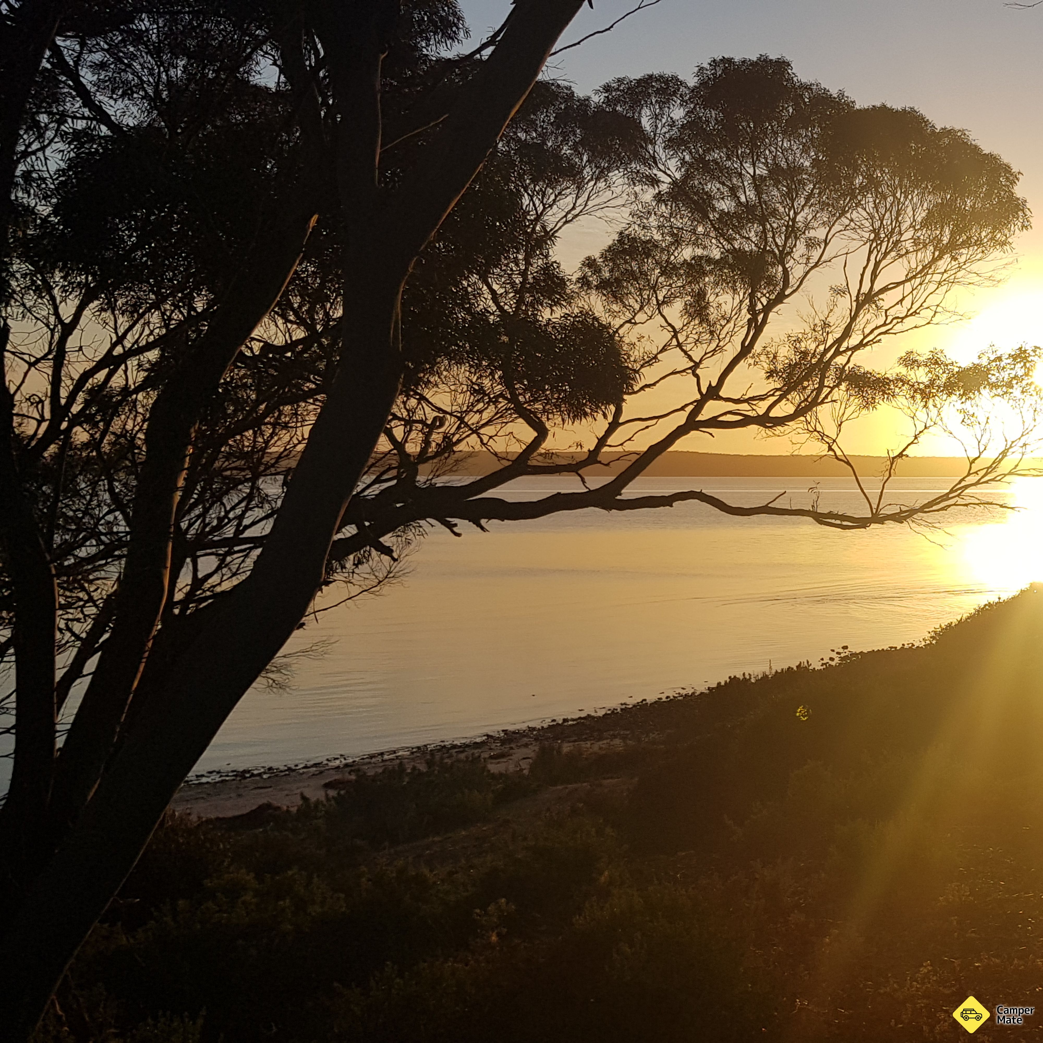Surfleet Cove Campground - Image 2