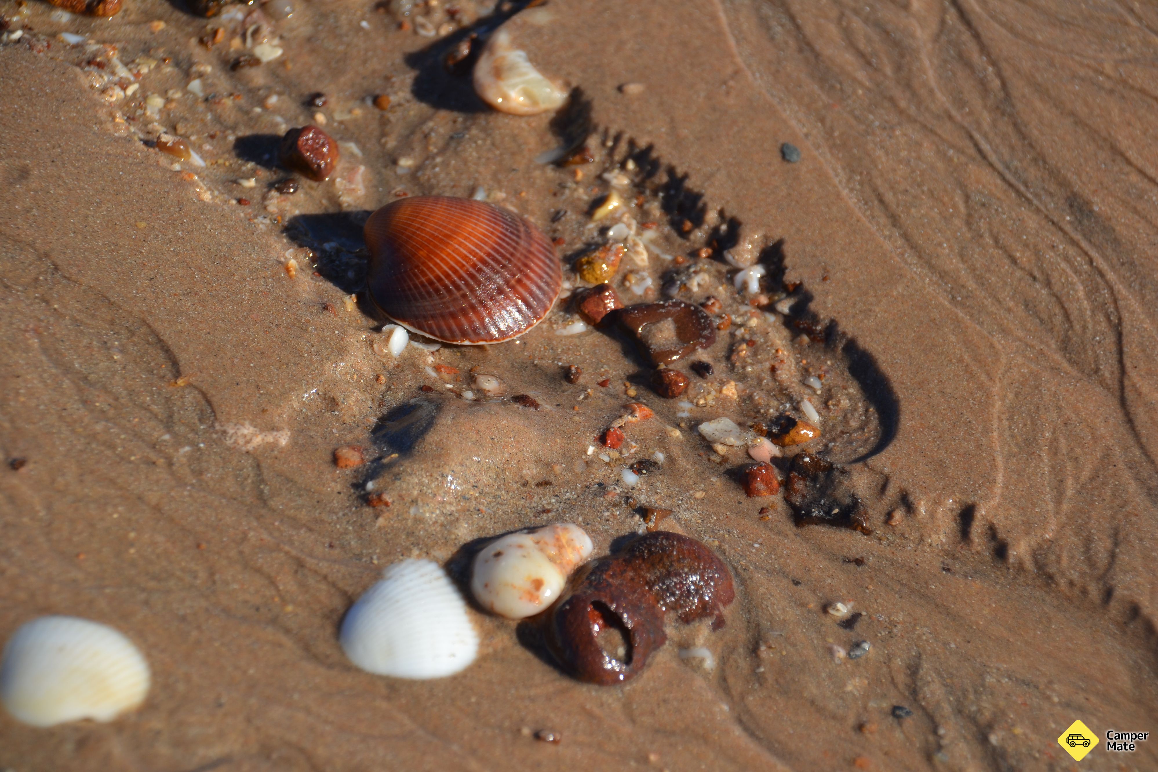 Barn Hill Beach Side Station Stay - Image 3