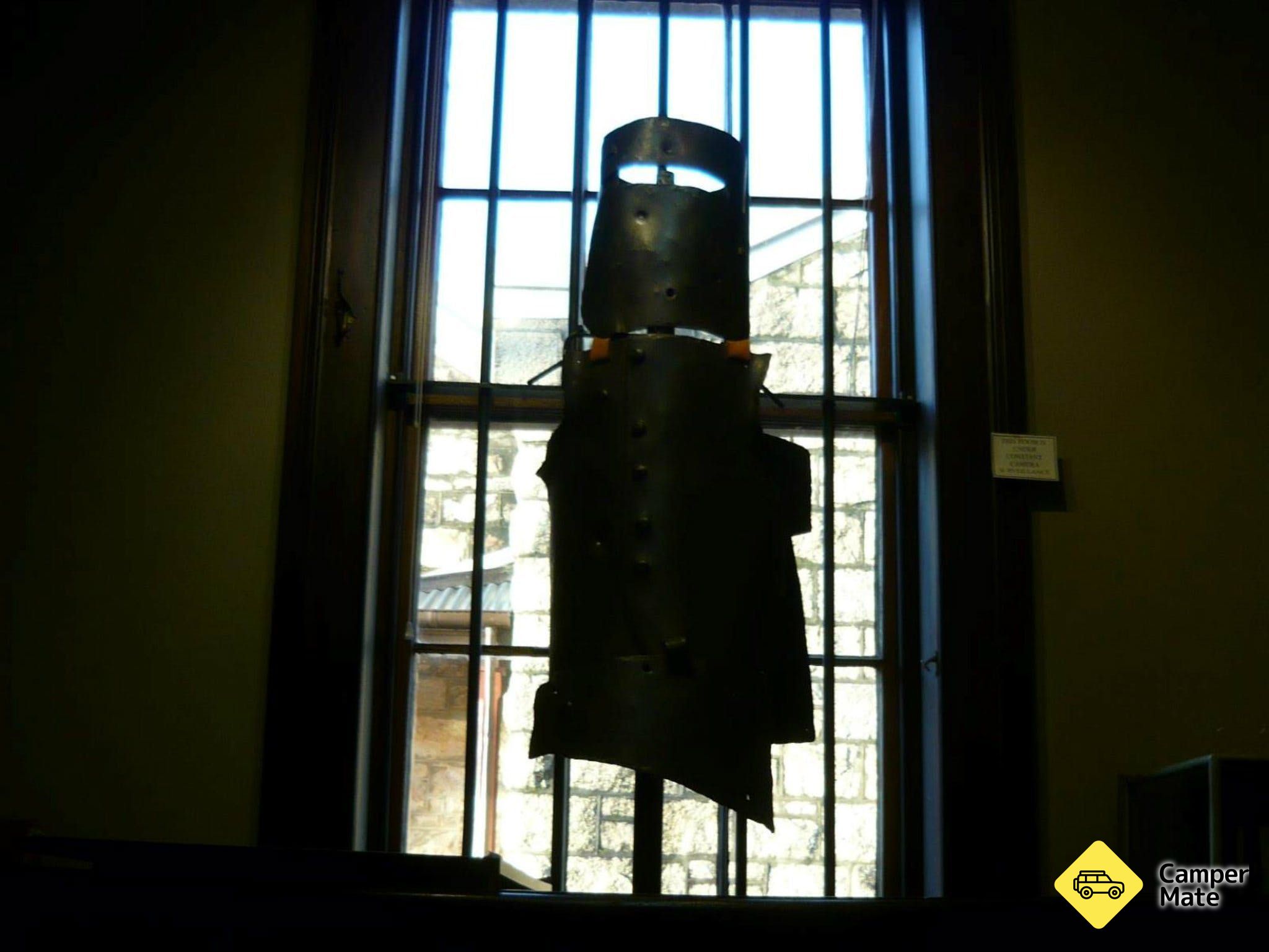 Het Burke Museum - Image 2