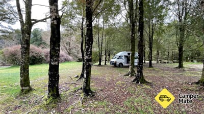 Nelson Creek Rekreációs Tartalék