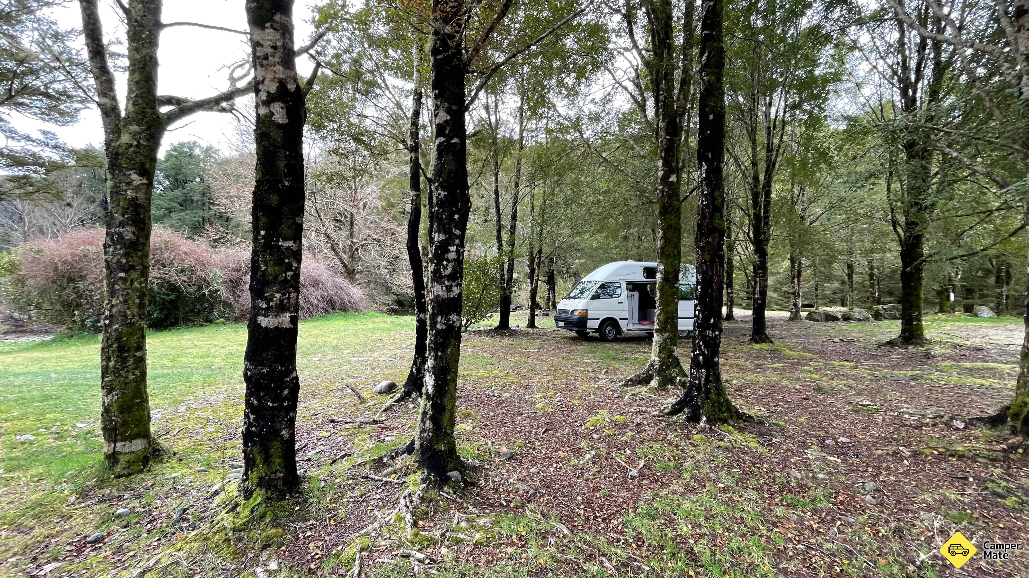 Nelson Creek Rekreációs Tartalék